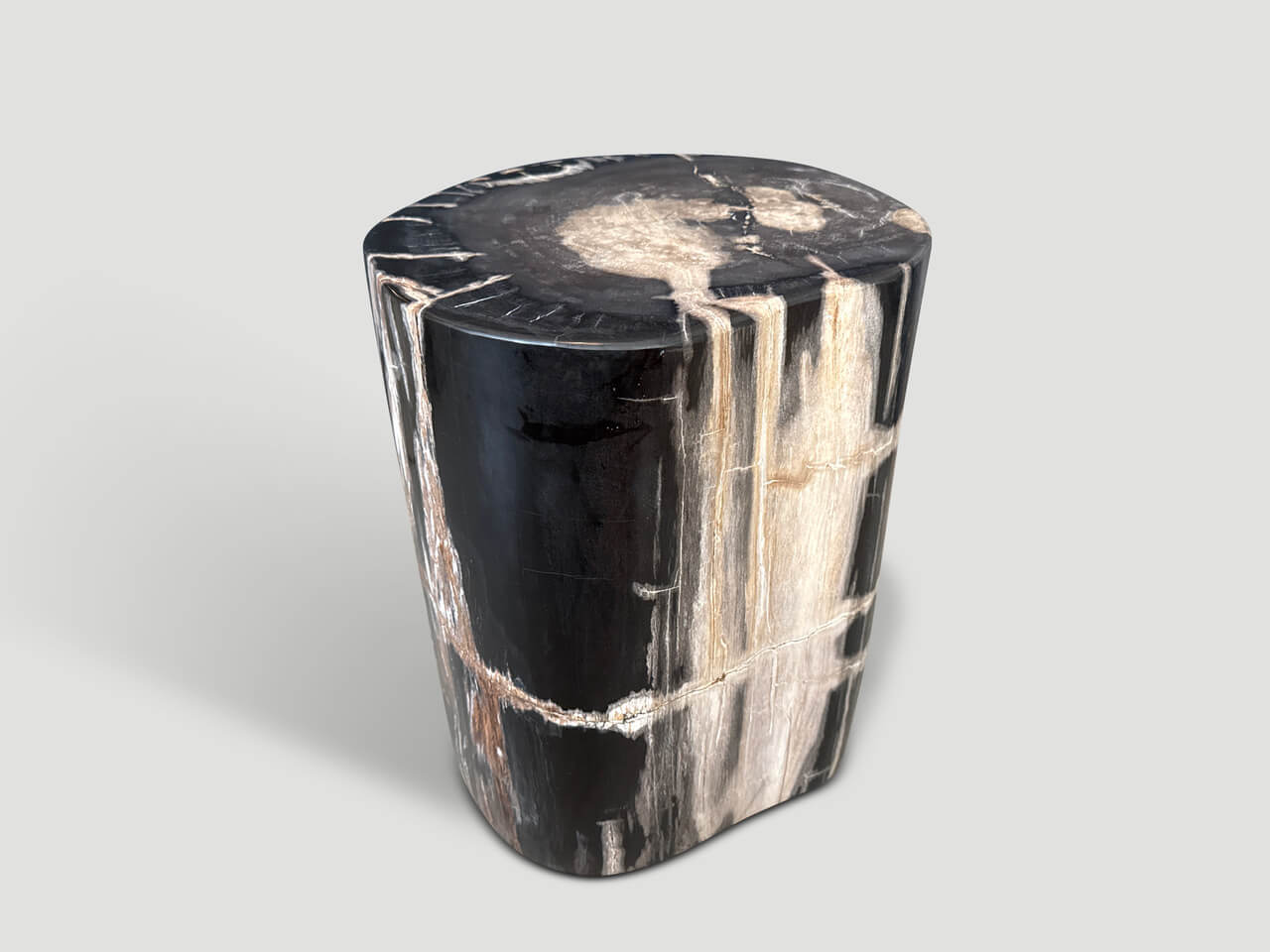 MODERN ORGANIC PETRIFIED WOOD SIDE TABLE