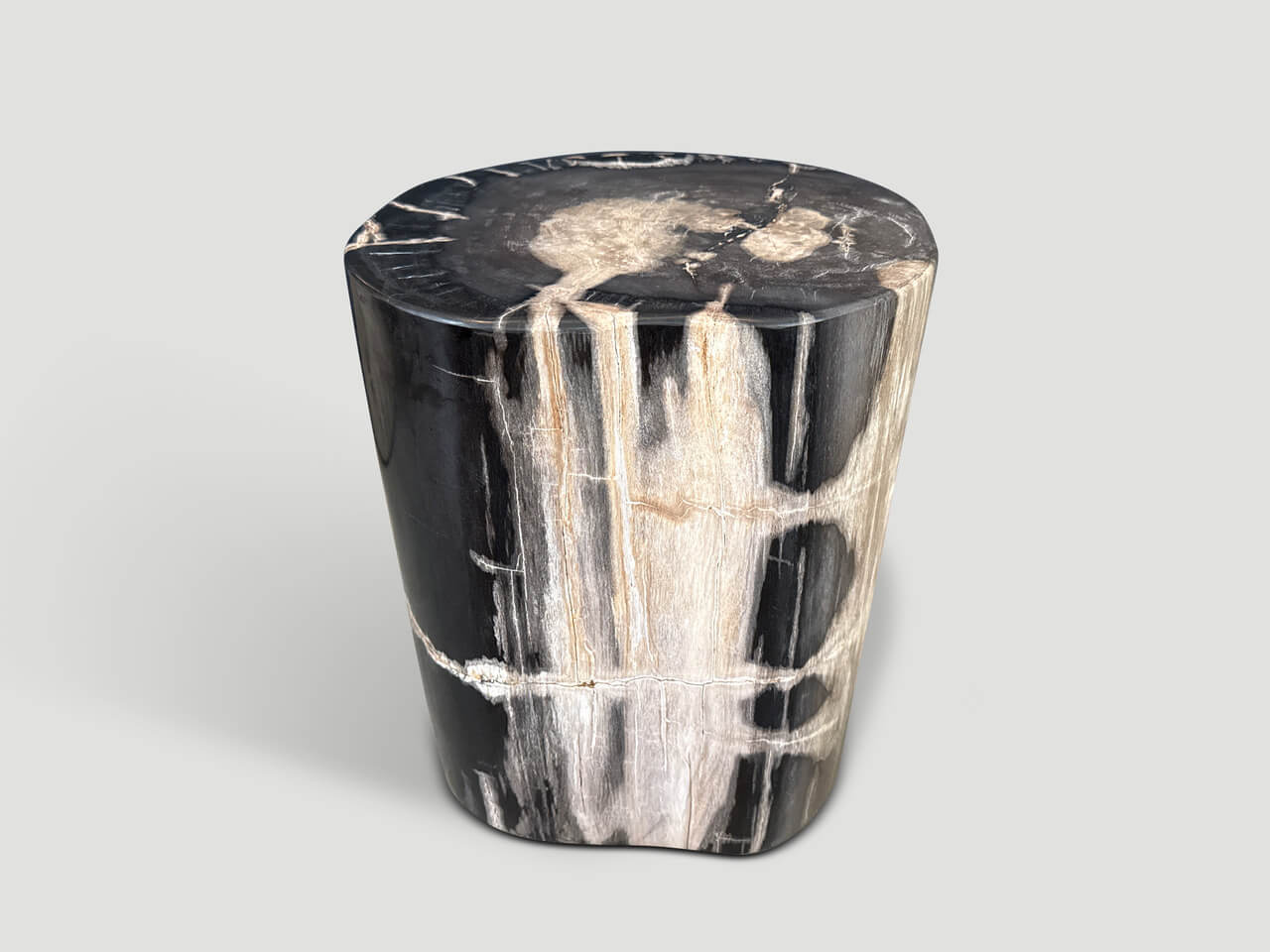 MODERN ORGANIC PETRIFIED WOOD SIDE TABLE