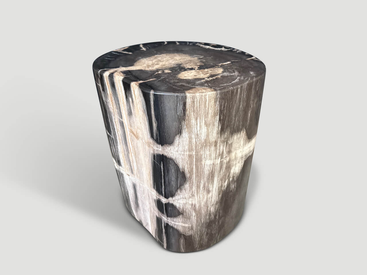 MODERN ORGANIC PETRIFIED WOOD SIDE TABLE