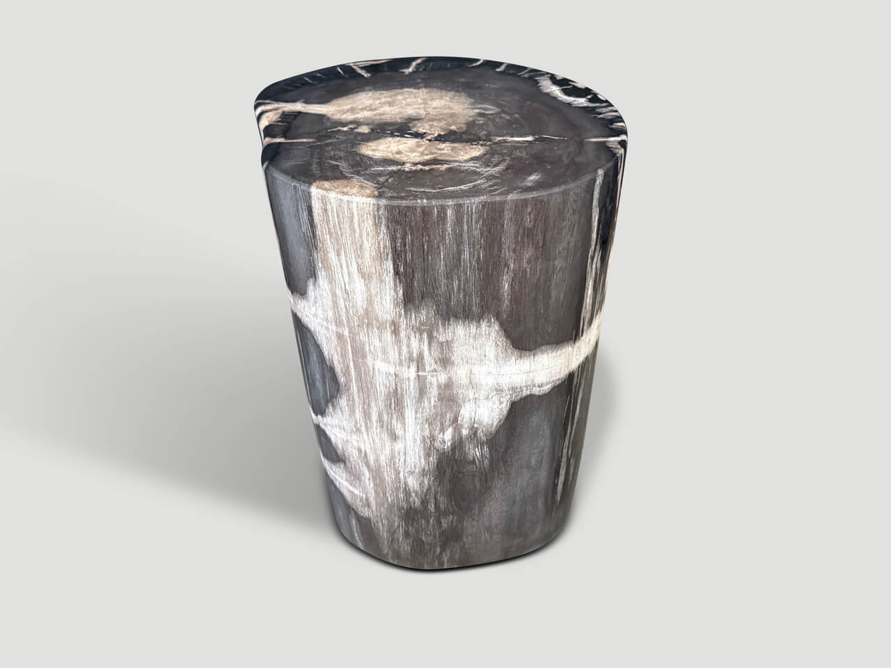 MODERN ORGANIC PETRIFIED WOOD SIDE TABLE