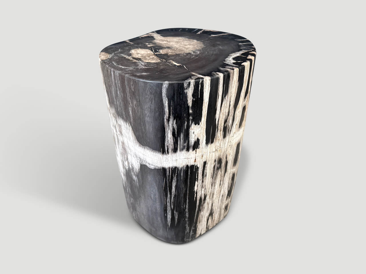 MODERN ORGANIC PETRIFIED WOOD SIDE TABLE
