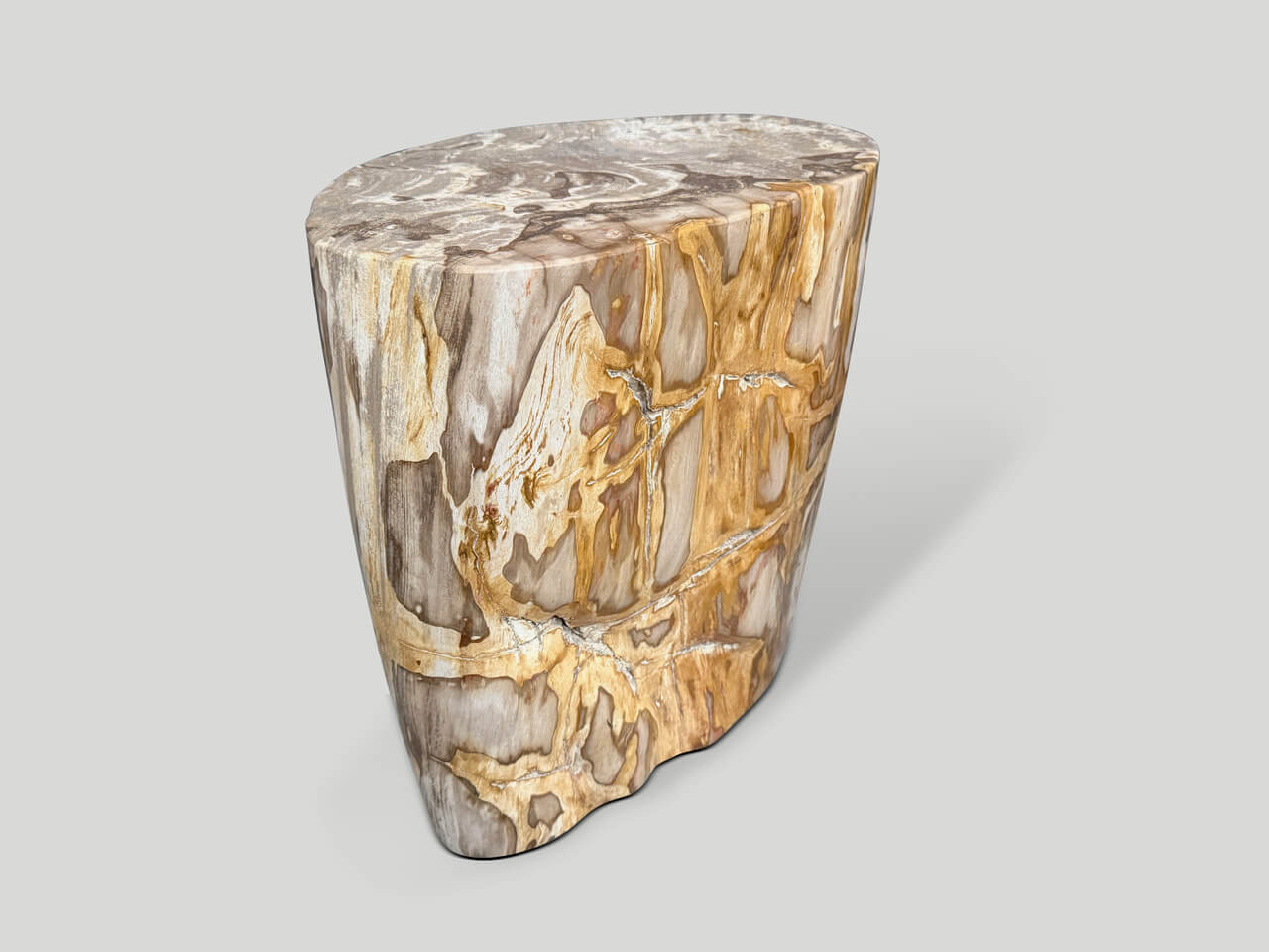 IMPRESSIVE HIGH QUALITY ANCIENT PETRIFIED WOOD SIDE TABLE