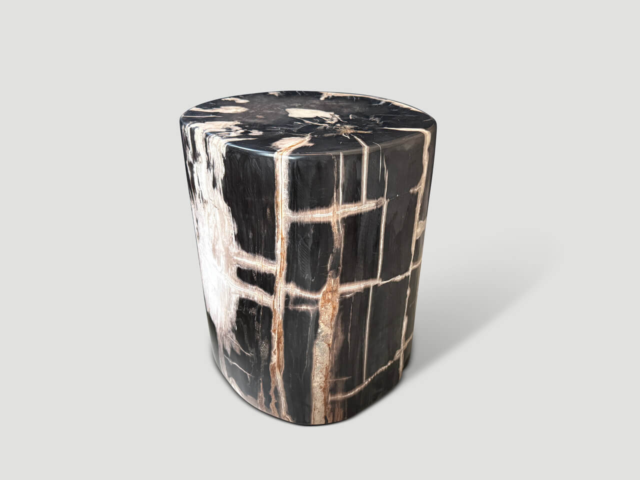 EXQUISITE ANCIENT PETRIFIED WOOD SIDE TABLE