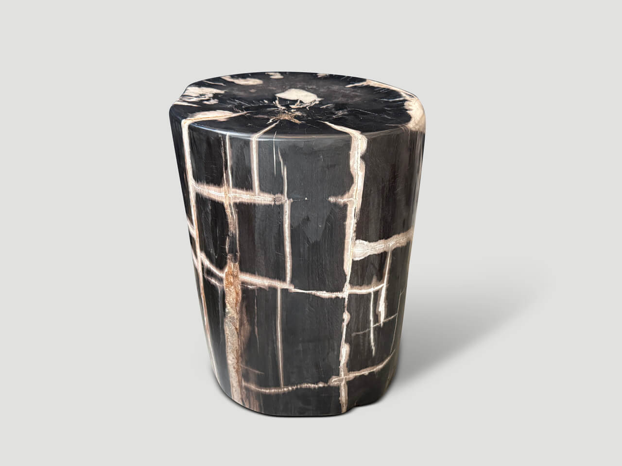 EXQUISITE ANCIENT PETRIFIED WOOD SIDE TABLE