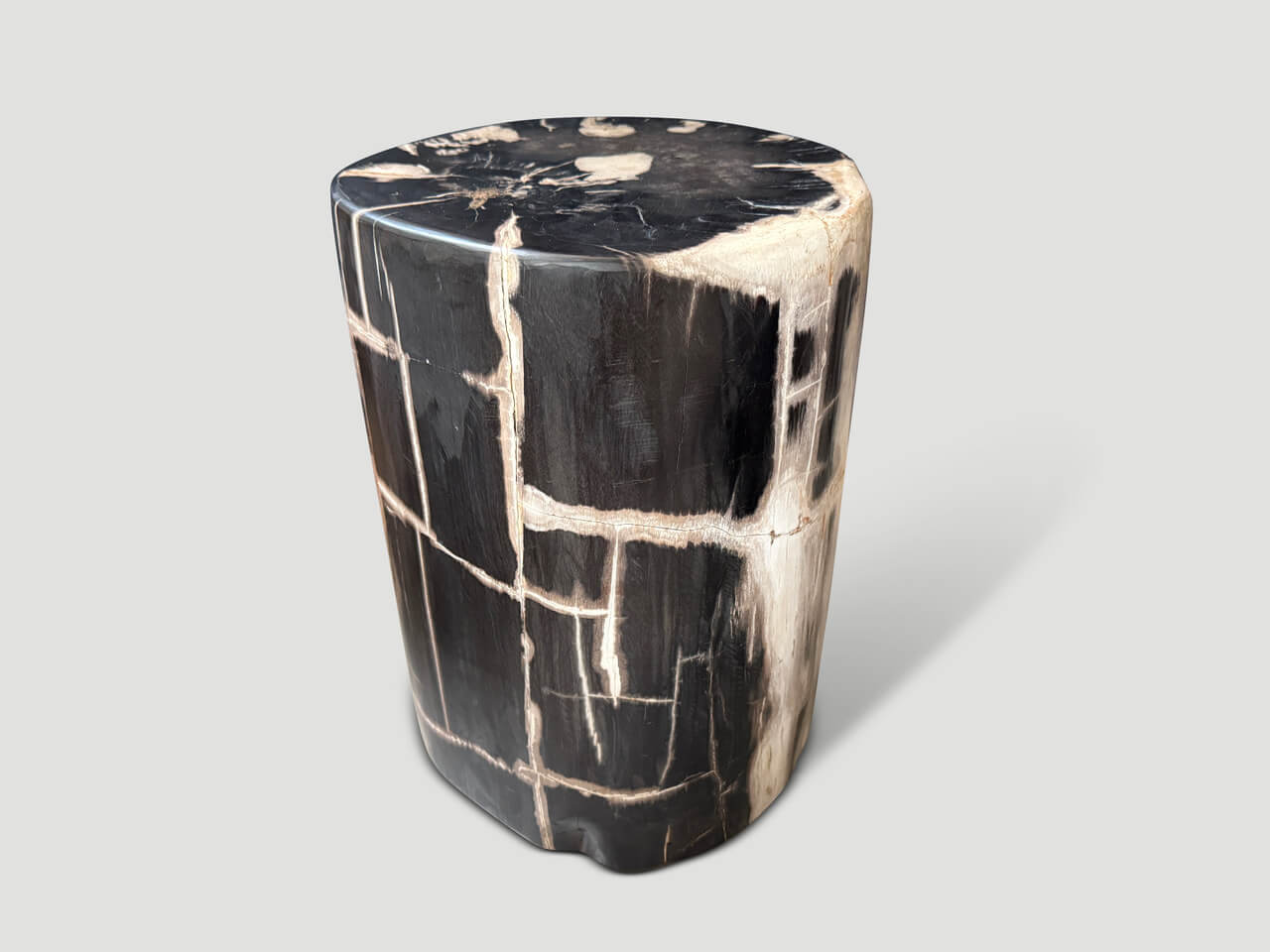 EXQUISITE ANCIENT PETRIFIED WOOD SIDE TABLE