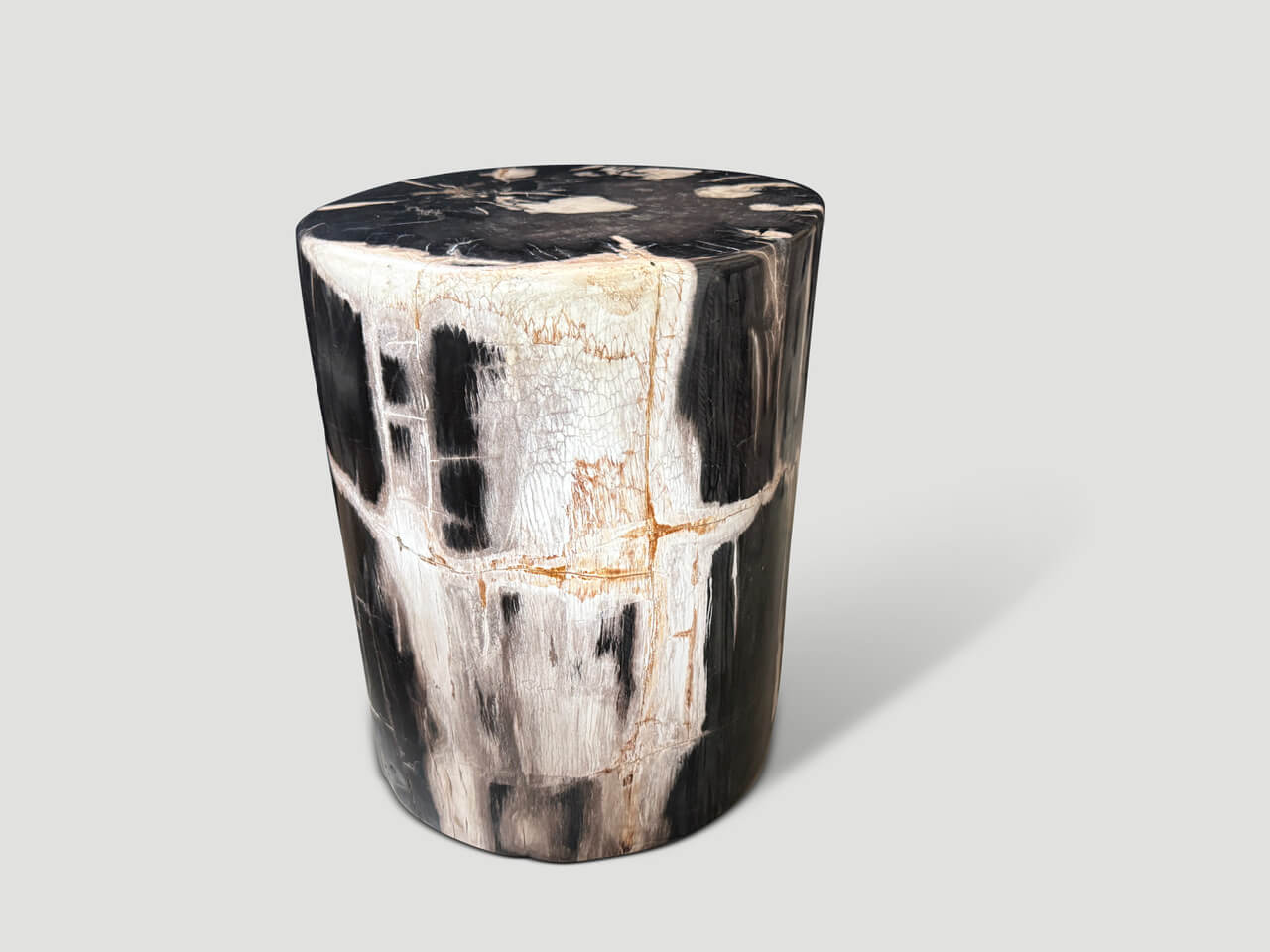 EXQUISITE ANCIENT PETRIFIED WOOD SIDE TABLE