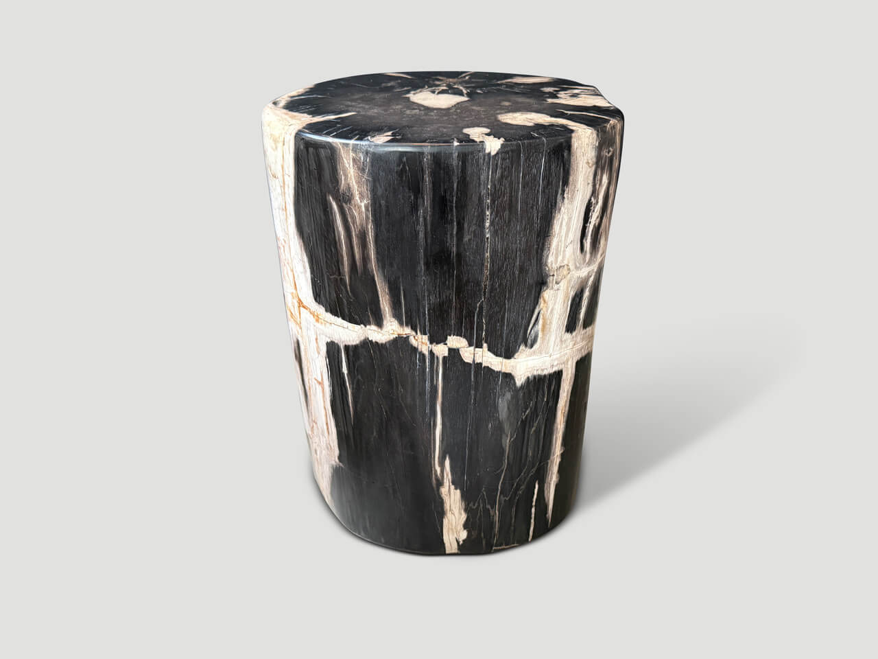 EXQUISITE ANCIENT PETRIFIED WOOD SIDE TABLE
