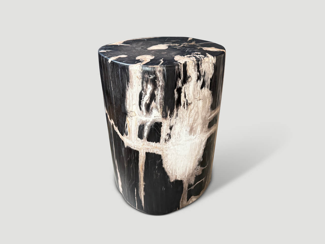 EXQUISITE ANCIENT PETRIFIED WOOD SIDE TABLE