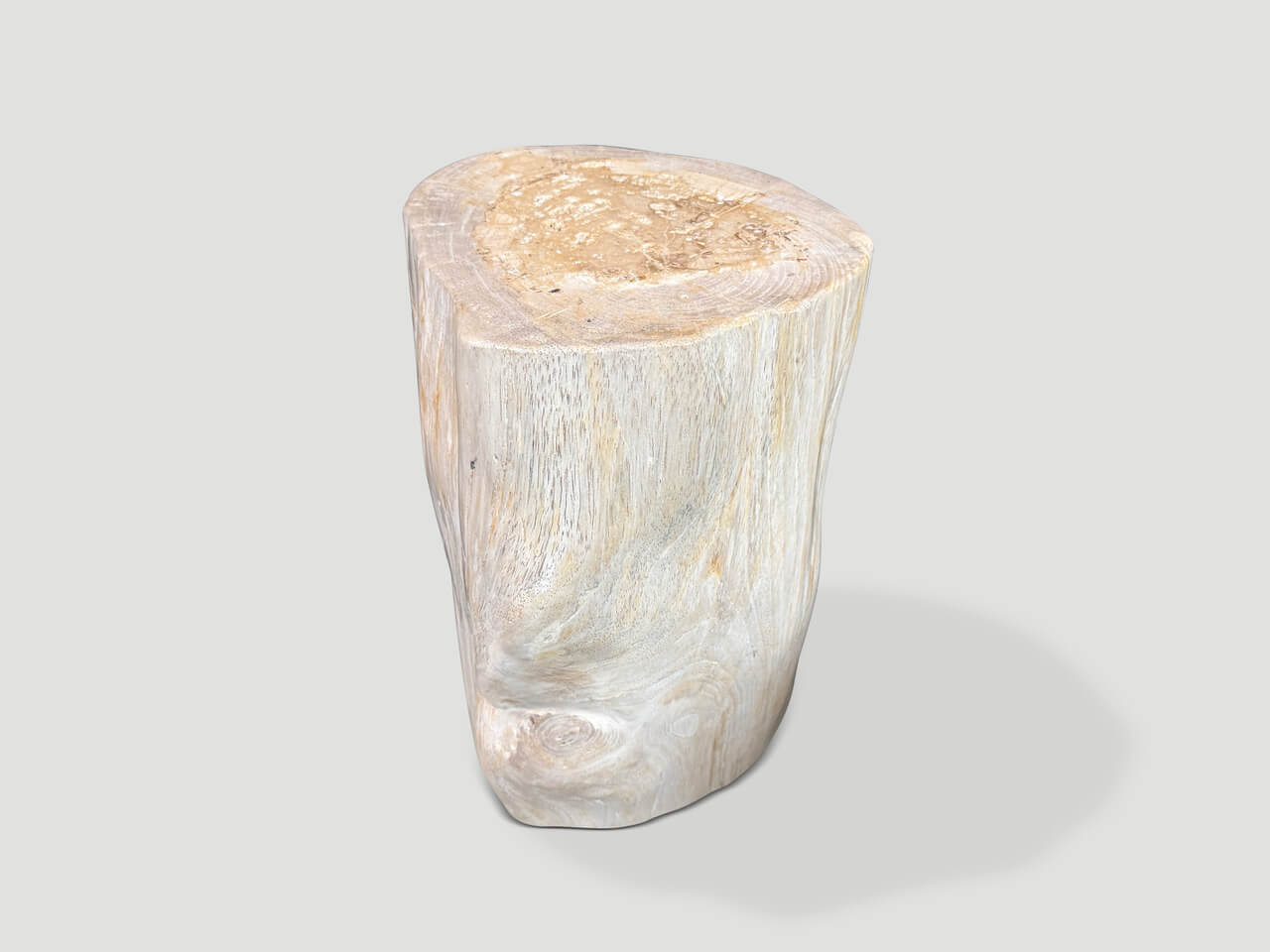 MINIMALIST MODERN ORGANIC PETRIFIED WOOD SIDE TABLE