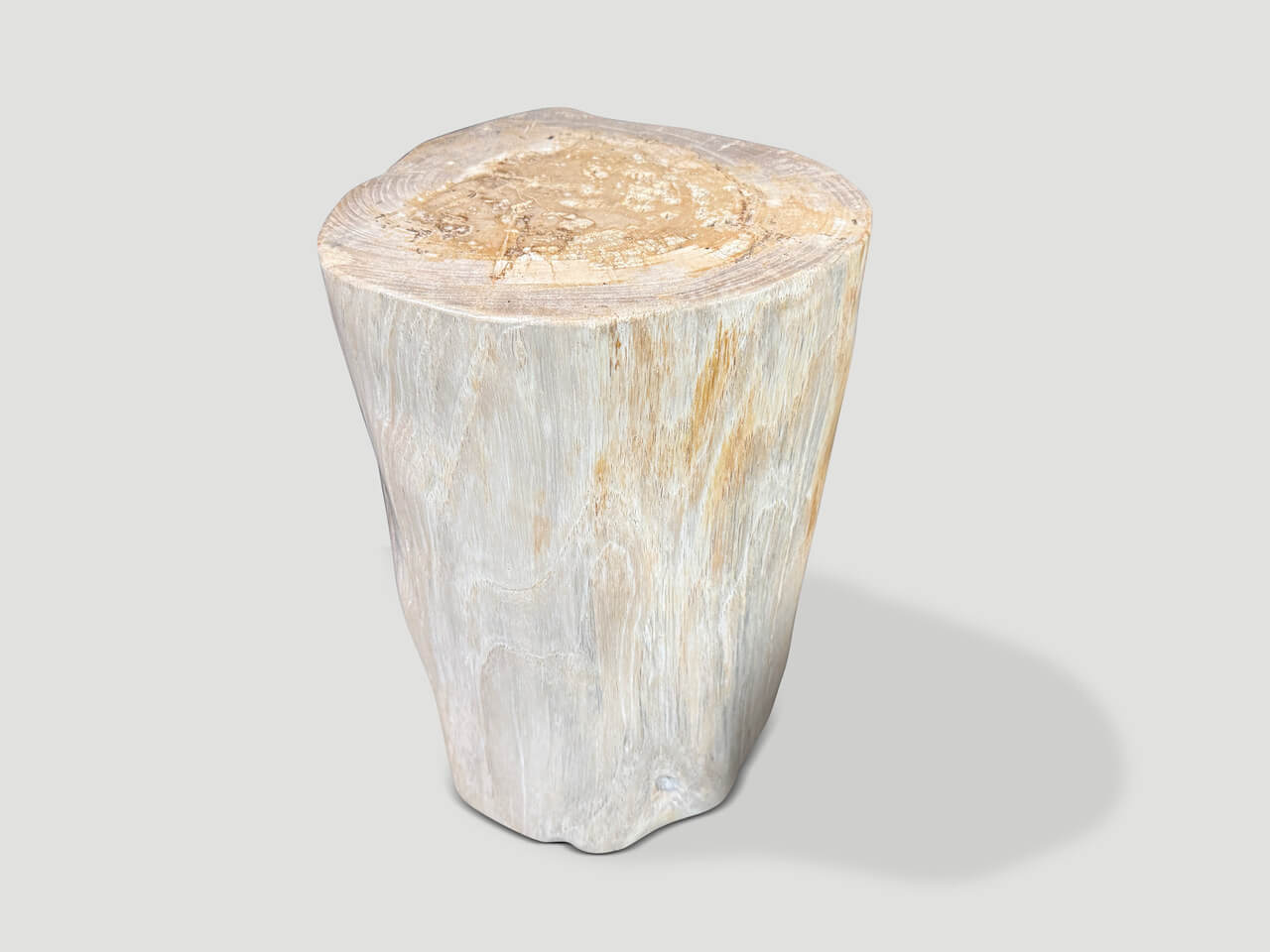 MINIMALIST MODERN ORGANIC PETRIFIED WOOD SIDE TABLE