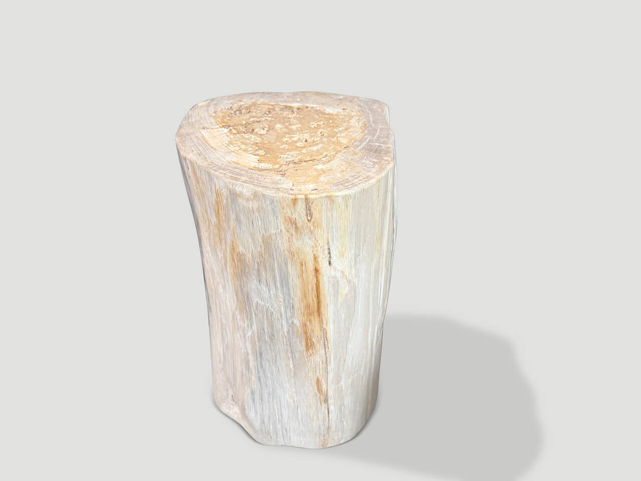 MINIMALIST MODERN ORGANIC PETRIFIED WOOD SIDE TABLE
