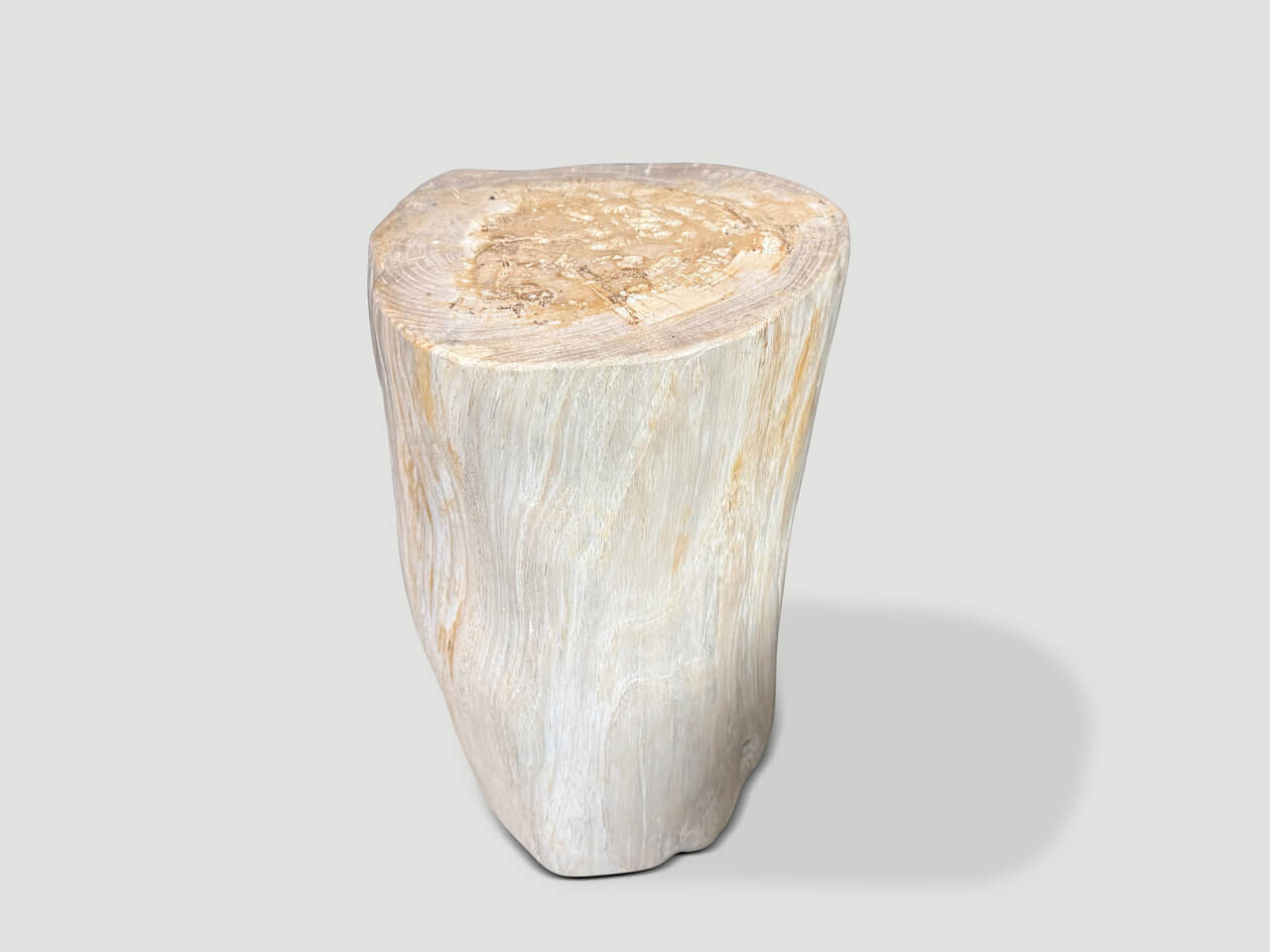 MINIMALIST MODERN ORGANIC PETRIFIED WOOD SIDE TABLE