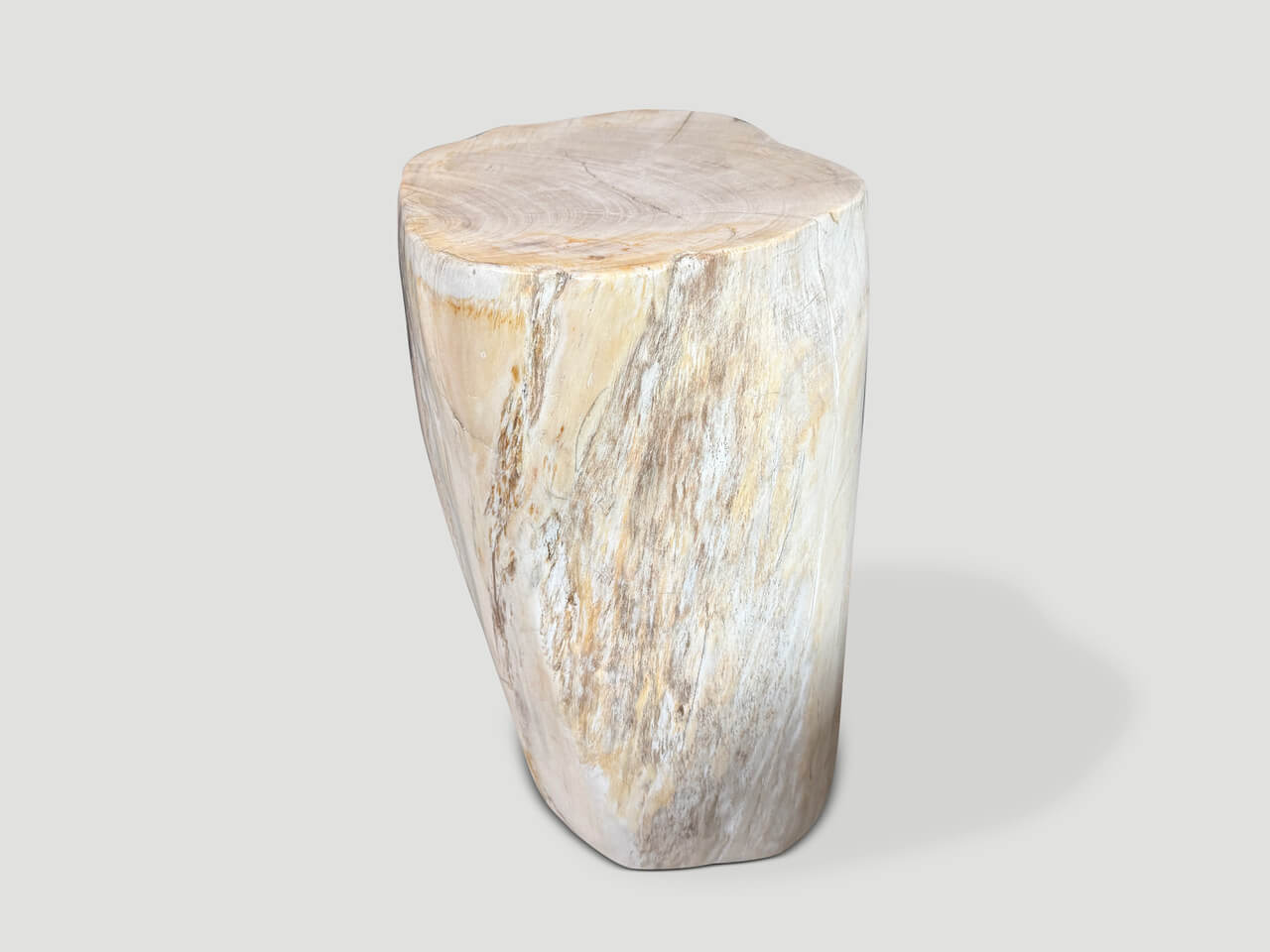 MINIMALIST MODERN ORGANIC PETRIFIED WOOD SIDE TABLE
