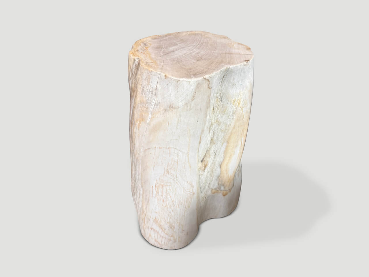 MINIMALIST MODERN ORGANIC PETRIFIED WOOD SIDE TABLE