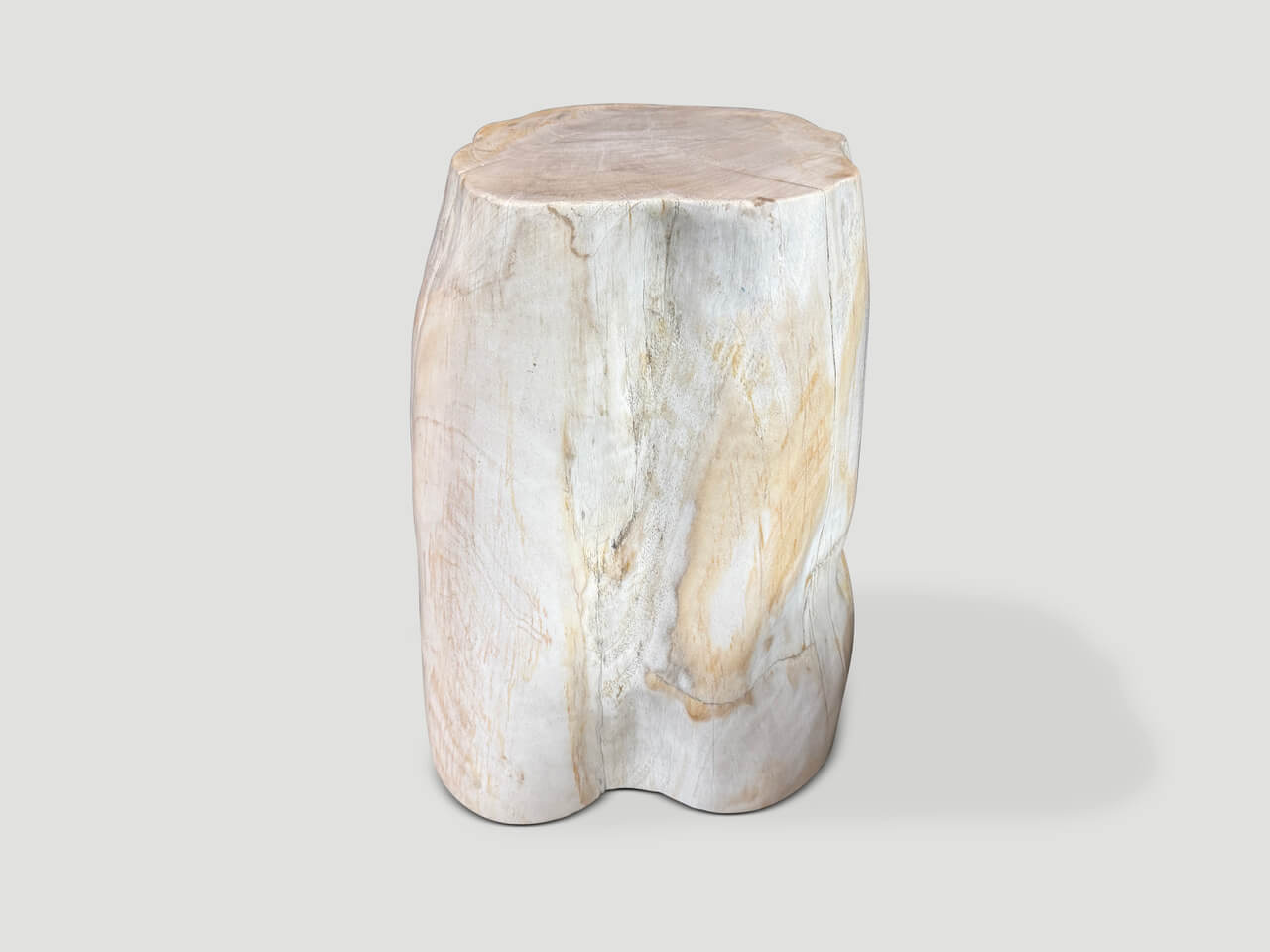 MINIMALIST MODERN ORGANIC PETRIFIED WOOD SIDE TABLE