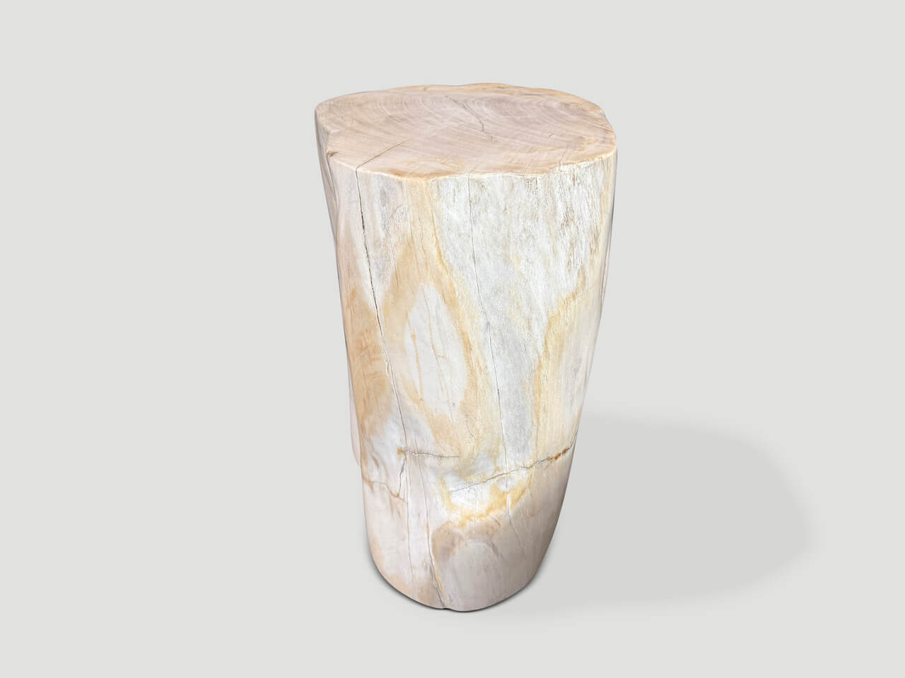 MINIMALIST MODERN ORGANIC PETRIFIED WOOD SIDE TABLE