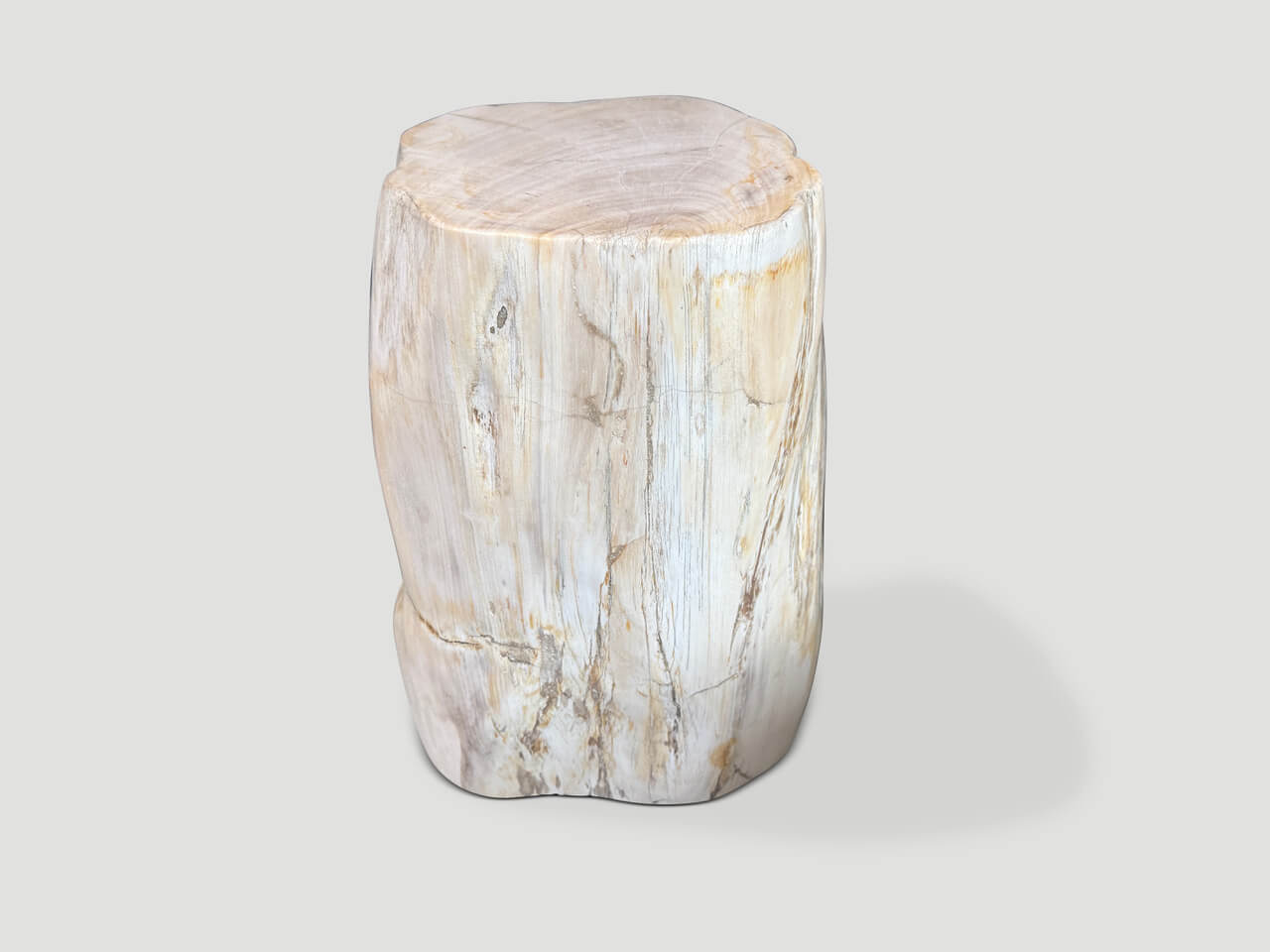MINIMALIST MODERN ORGANIC PETRIFIED WOOD SIDE TABLE