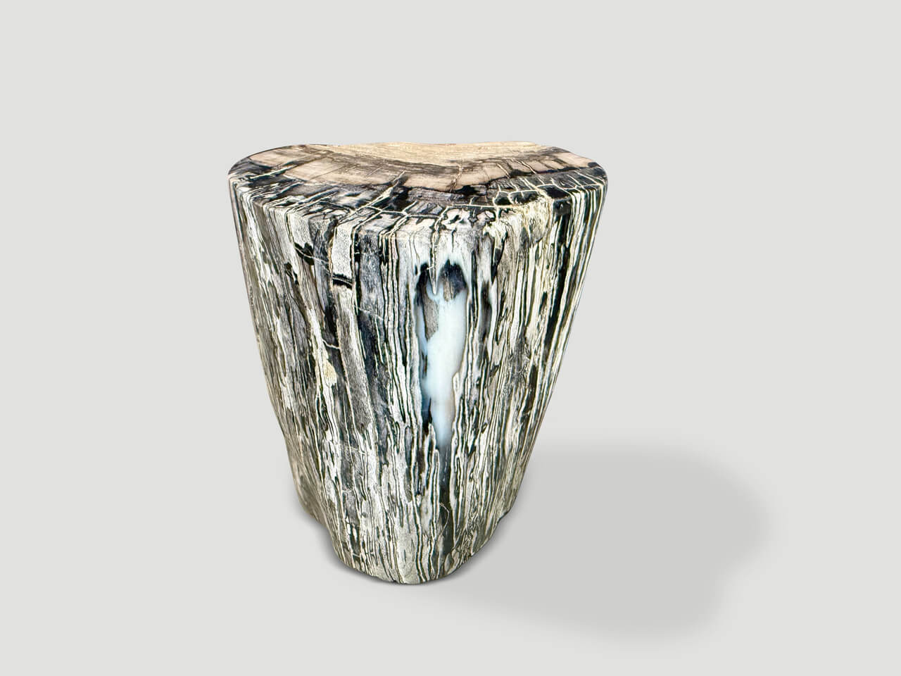 MINIMALIST MODERN ORGANIC PETRIFIED WOOD SIDE TABLE
