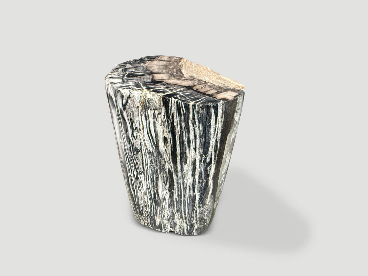 MINIMALIST MODERN ORGANIC PETRIFIED WOOD SIDE TABLE