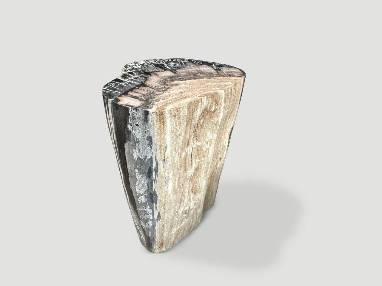 MINIMALIST MODERN ORGANIC PETRIFIED WOOD SIDE TABLE
