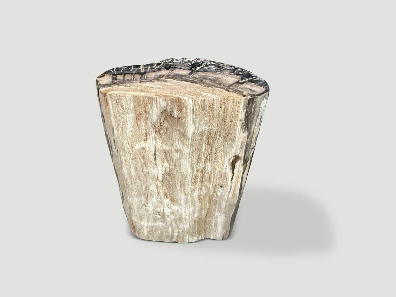 MINIMALIST MODERN ORGANIC PETRIFIED WOOD SIDE TABLE