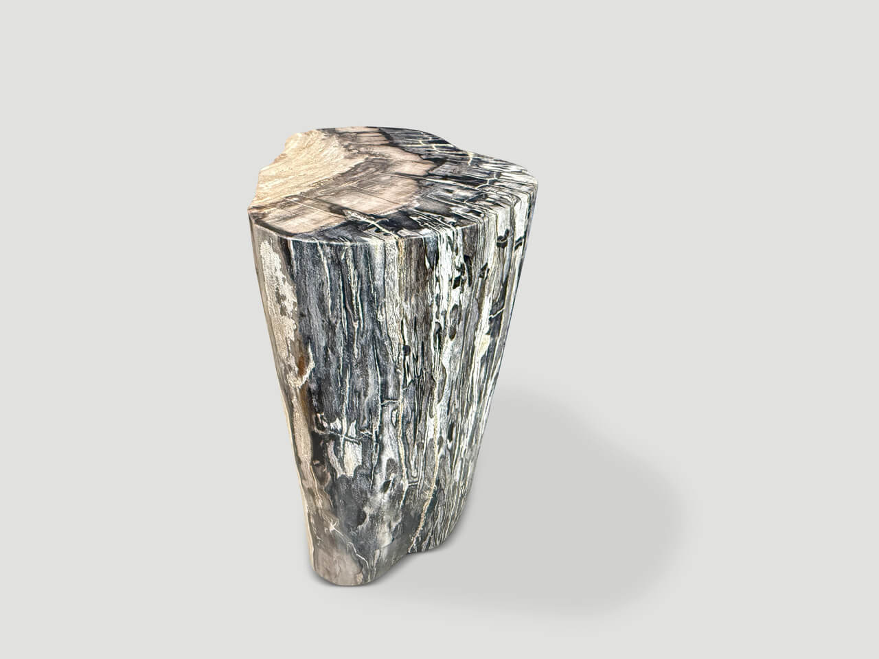 MINIMALIST MODERN ORGANIC PETRIFIED WOOD SIDE TABLE