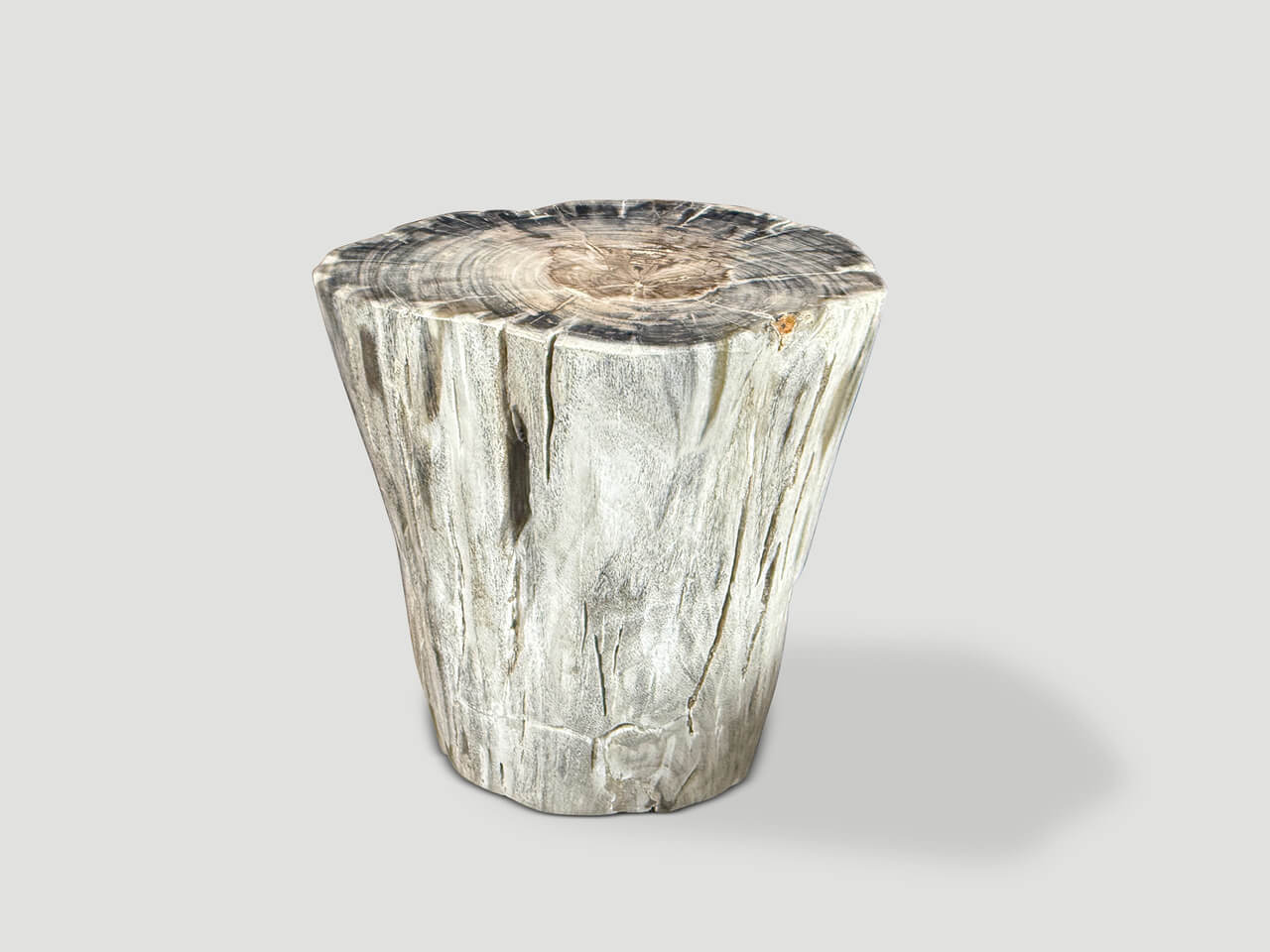 ANCIENT PETRIFIED WOOD SIDE TABLE