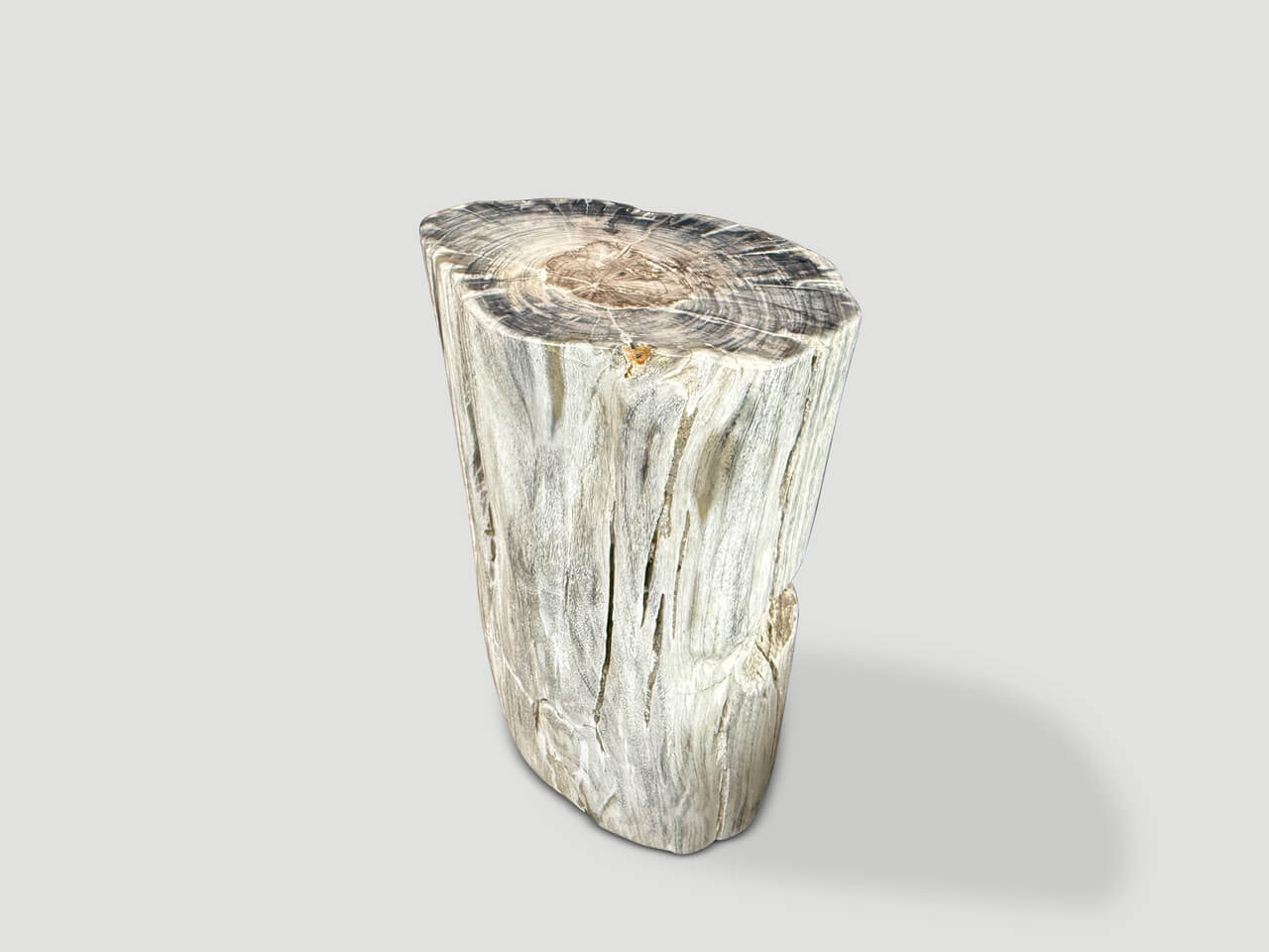 ANCIENT PETRIFIED WOOD SIDE TABLE