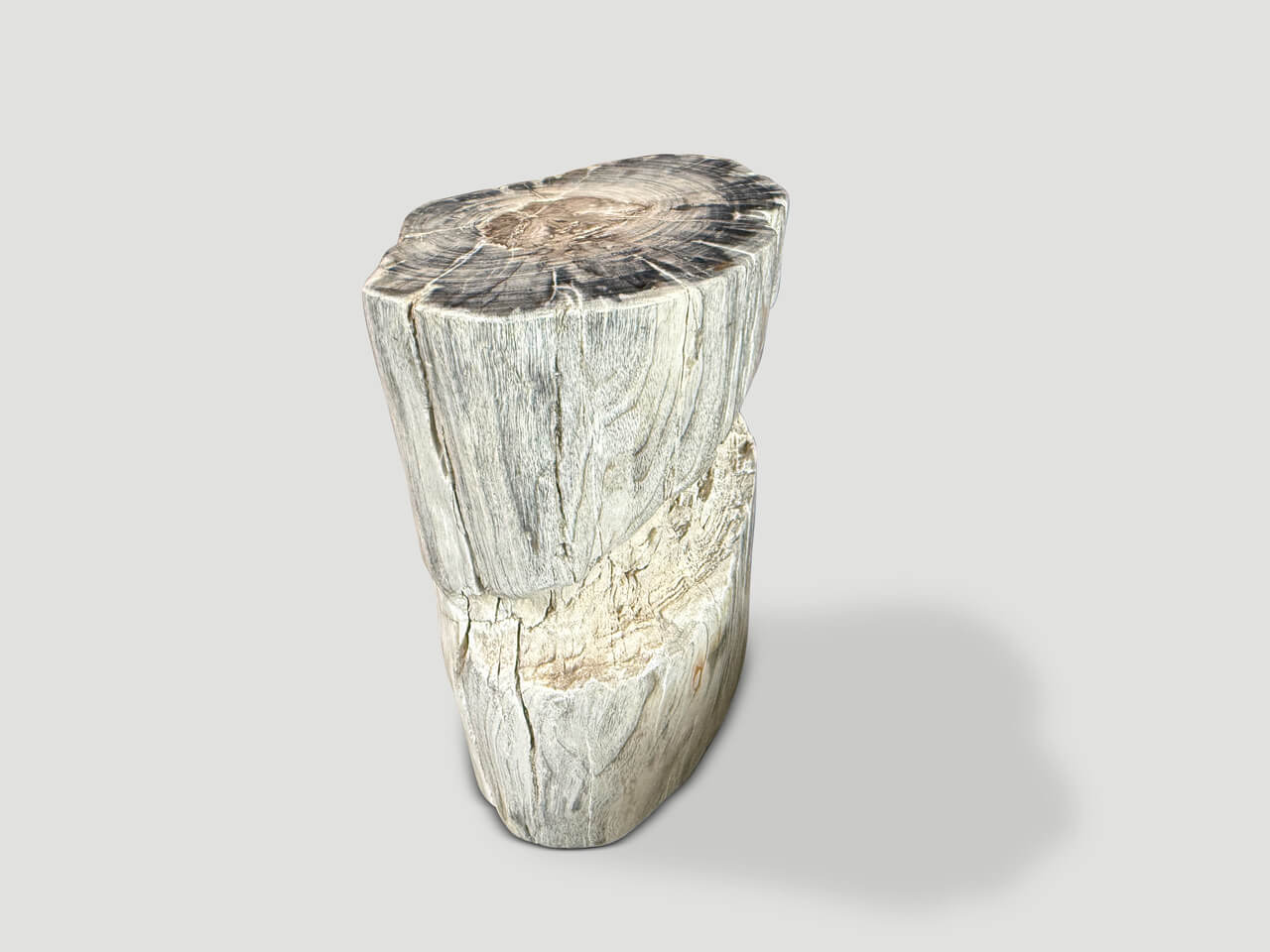 ANCIENT PETRIFIED WOOD SIDE TABLE