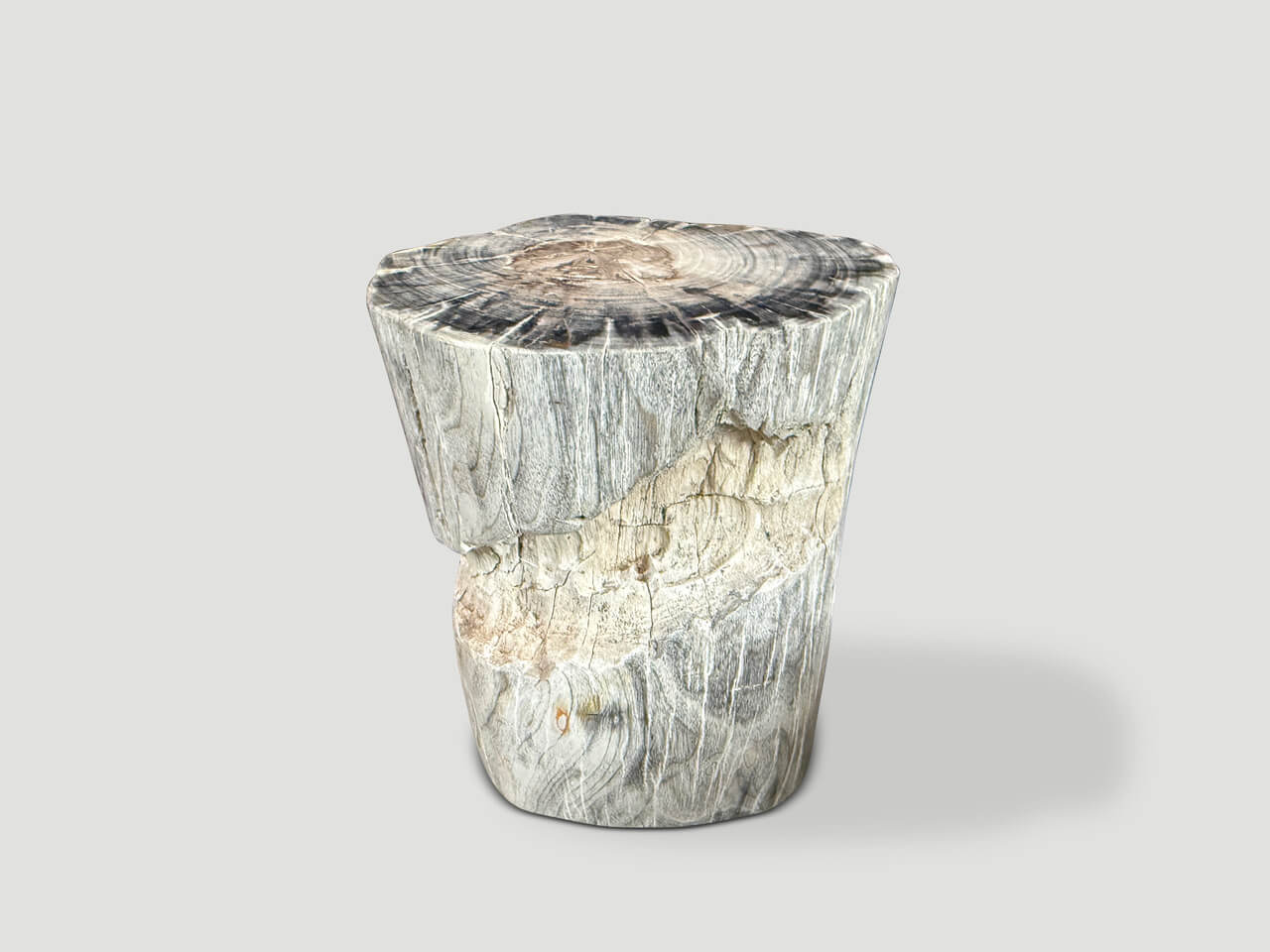 ANCIENT PETRIFIED WOOD SIDE TABLE