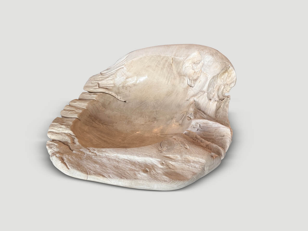 OVER SIZED BLEACHED SCULPTURAL TEAK VESSEL