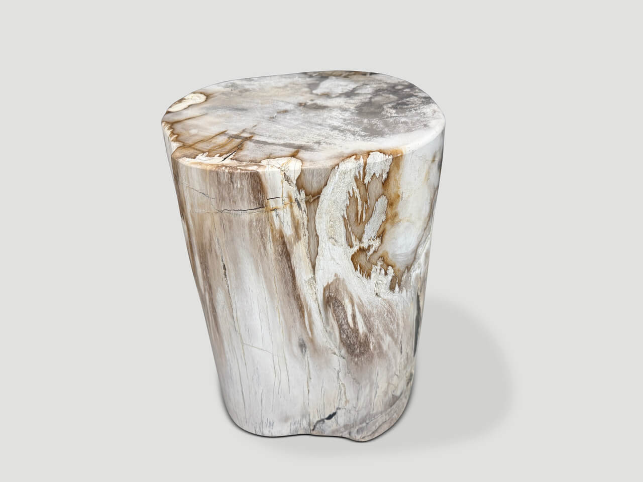 ANCIENT PETRIFIED WOOD SIDE TABLE