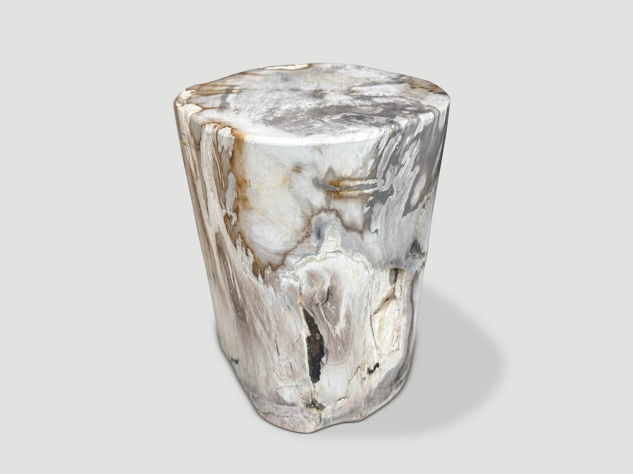 ANCIENT PETRIFIED WOOD SIDE TABLE