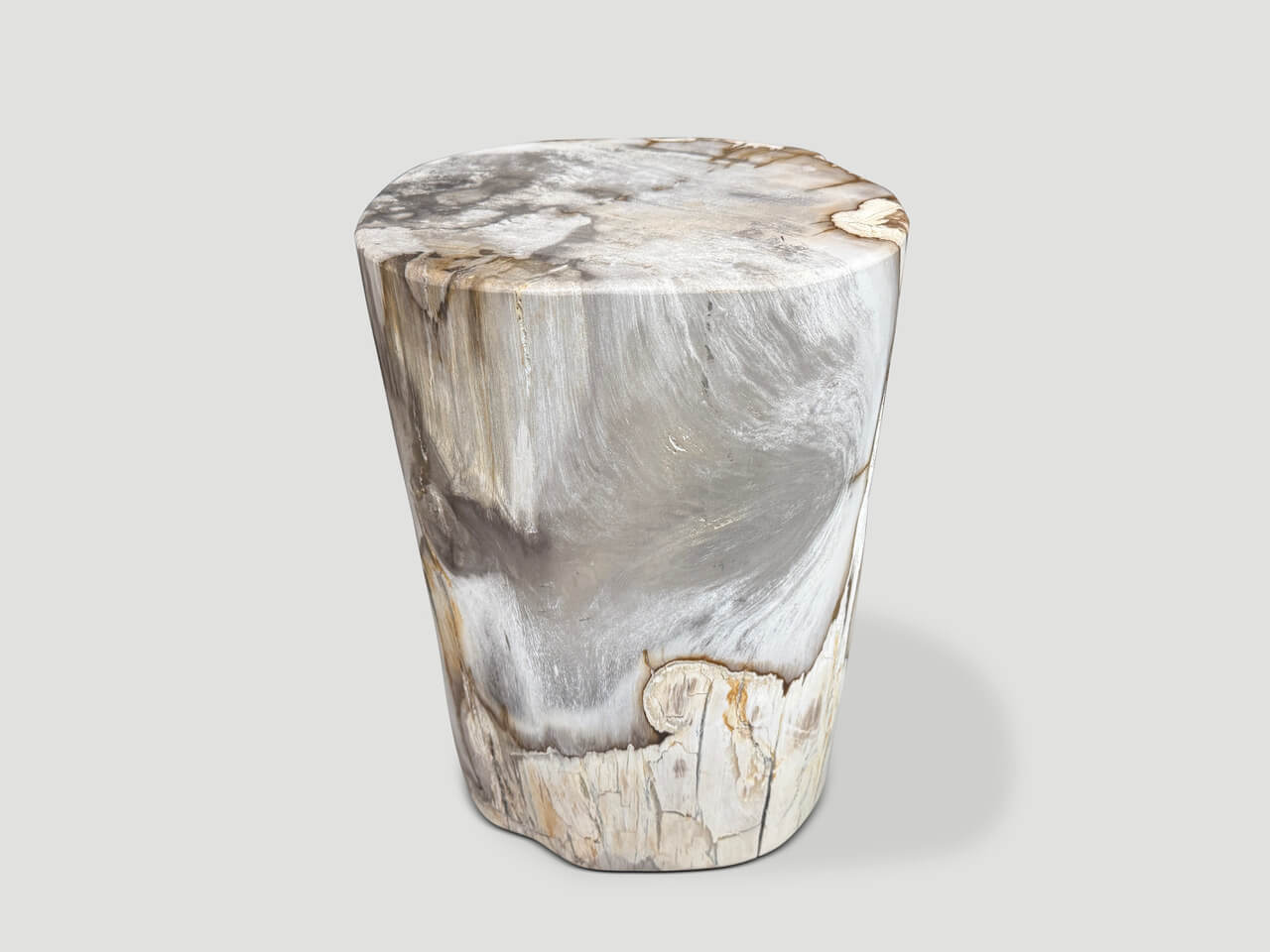 Ancient Petrified Wood Side Table