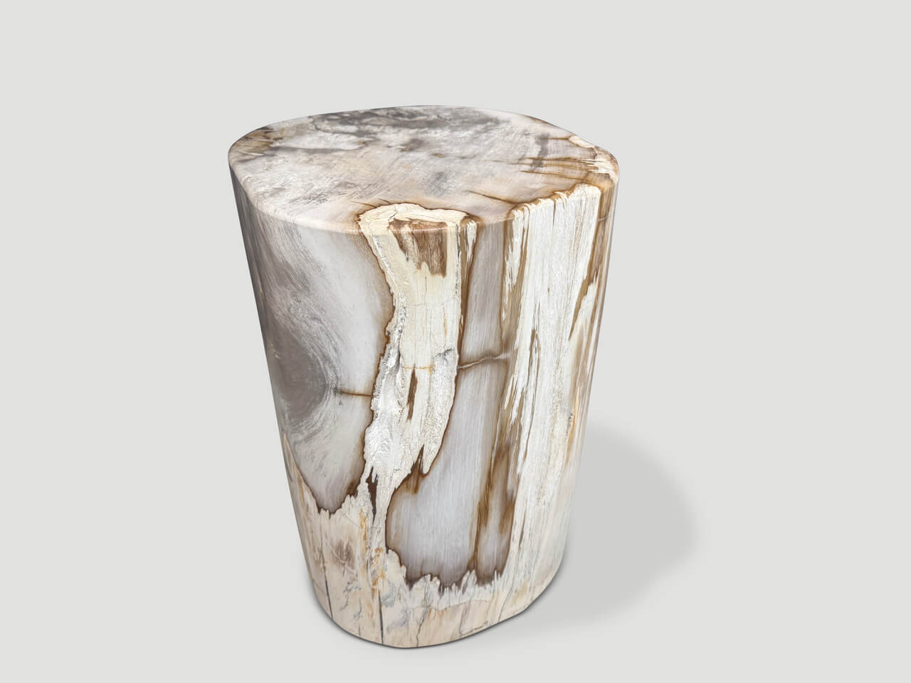 ANCIENT PETRIFIED WOOD SIDE TABLE