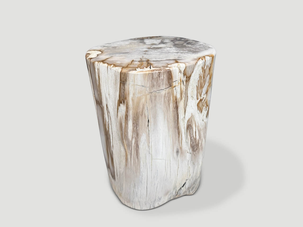 ANCIENT PETRIFIED WOOD SIDE TABLE