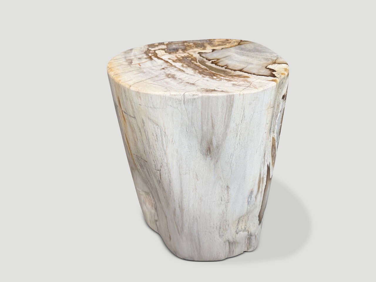 ANCIENT PETRIFIED WOOD SIDE TABLE