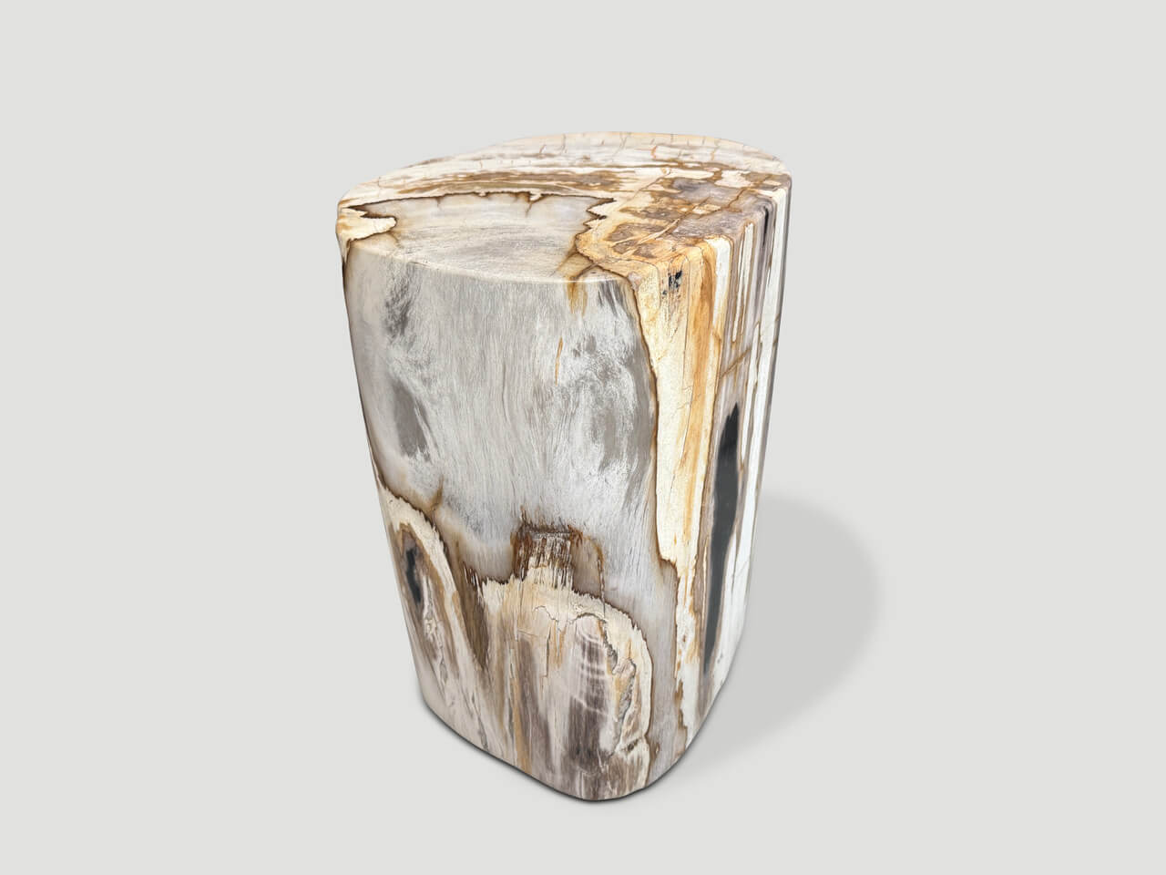 ANCIENT PETRIFIED WOOD SIDE TABLE
