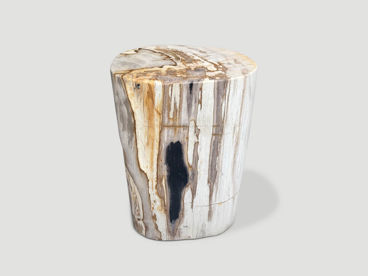 ANCIENT PETRIFIED WOOD SIDE TABLE