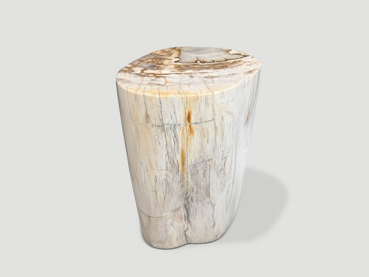 ANCIENT PETRIFIED WOOD SIDE TABLE