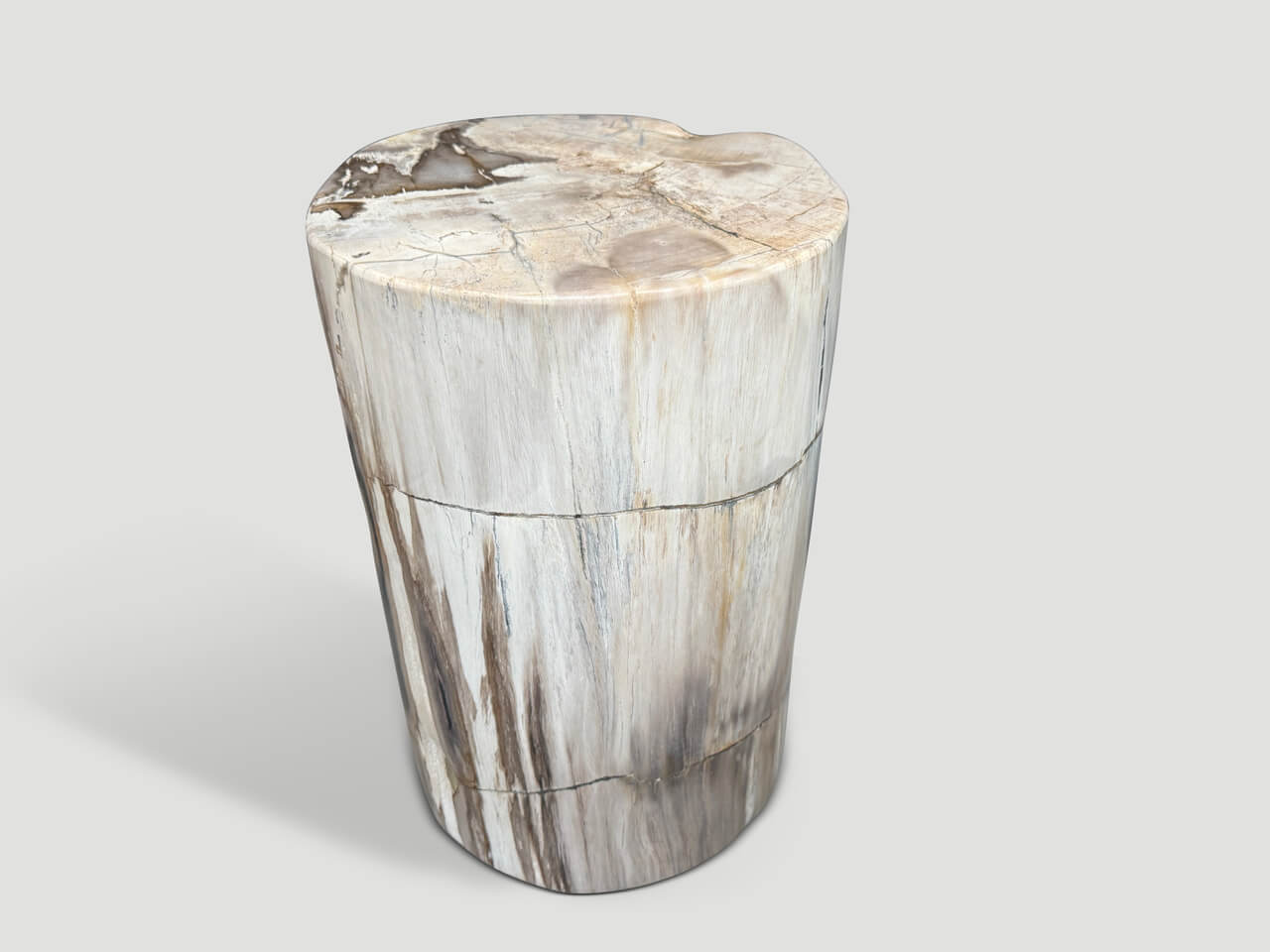 ANCIENT PETRIFIED WOOD SIDE TABLE