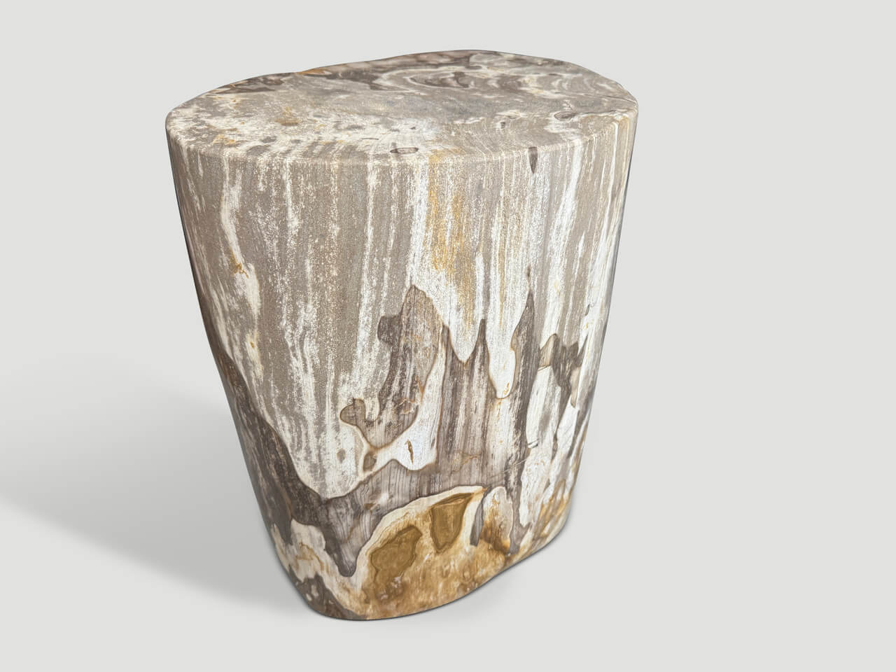 IMPRESSIVE HIGH QUALITY ANCIENT PETRIFIED WOOD SIDE TABLE