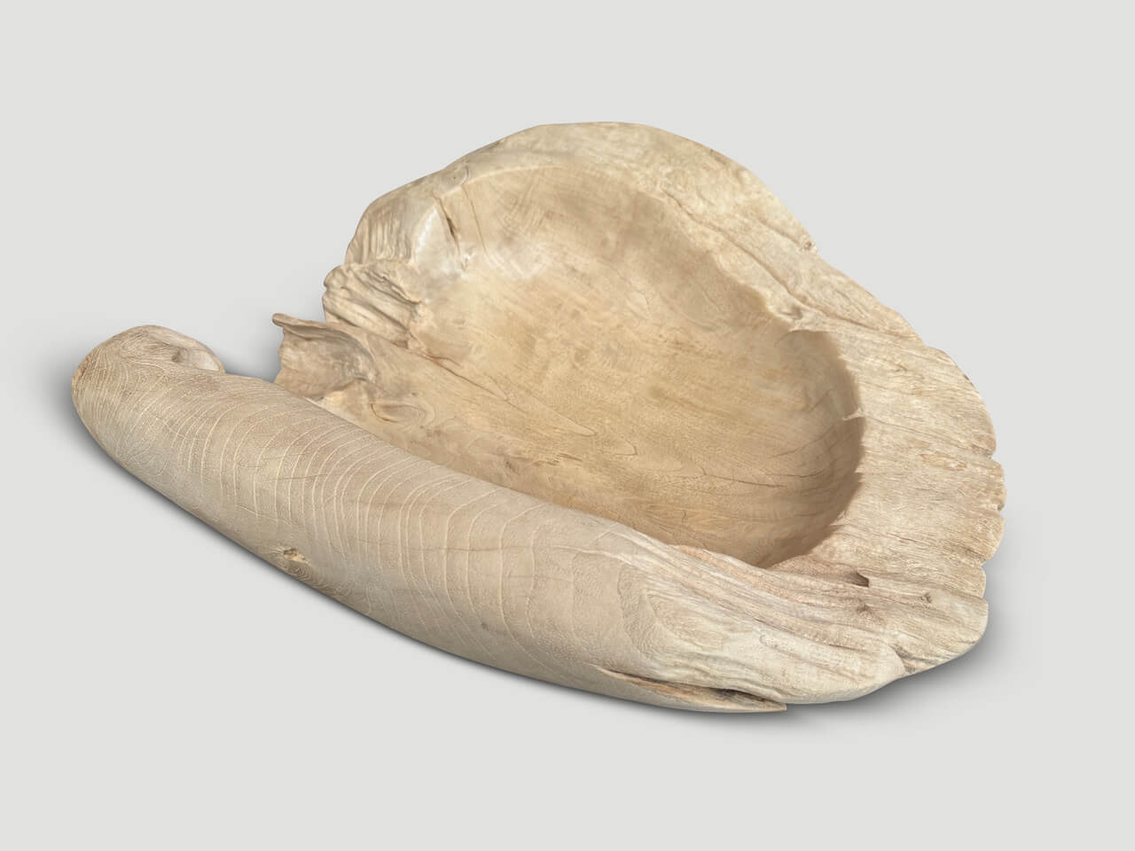 OVER SIZED BLEACHED SCULPTURAL TEAK VESSEL