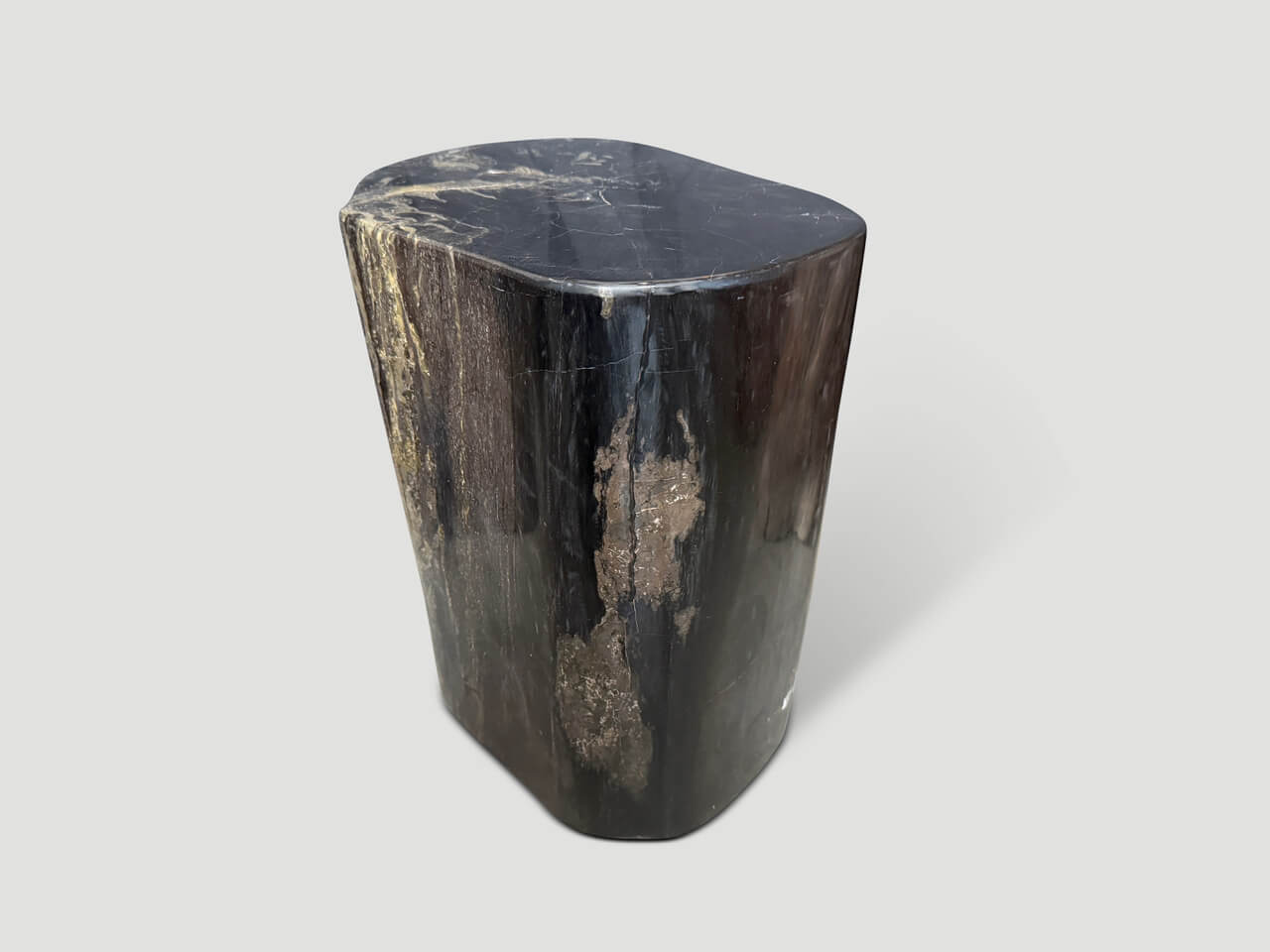 IMPRESSIVE ANCIENT PETRIFIED WOOD SIDE TABLE