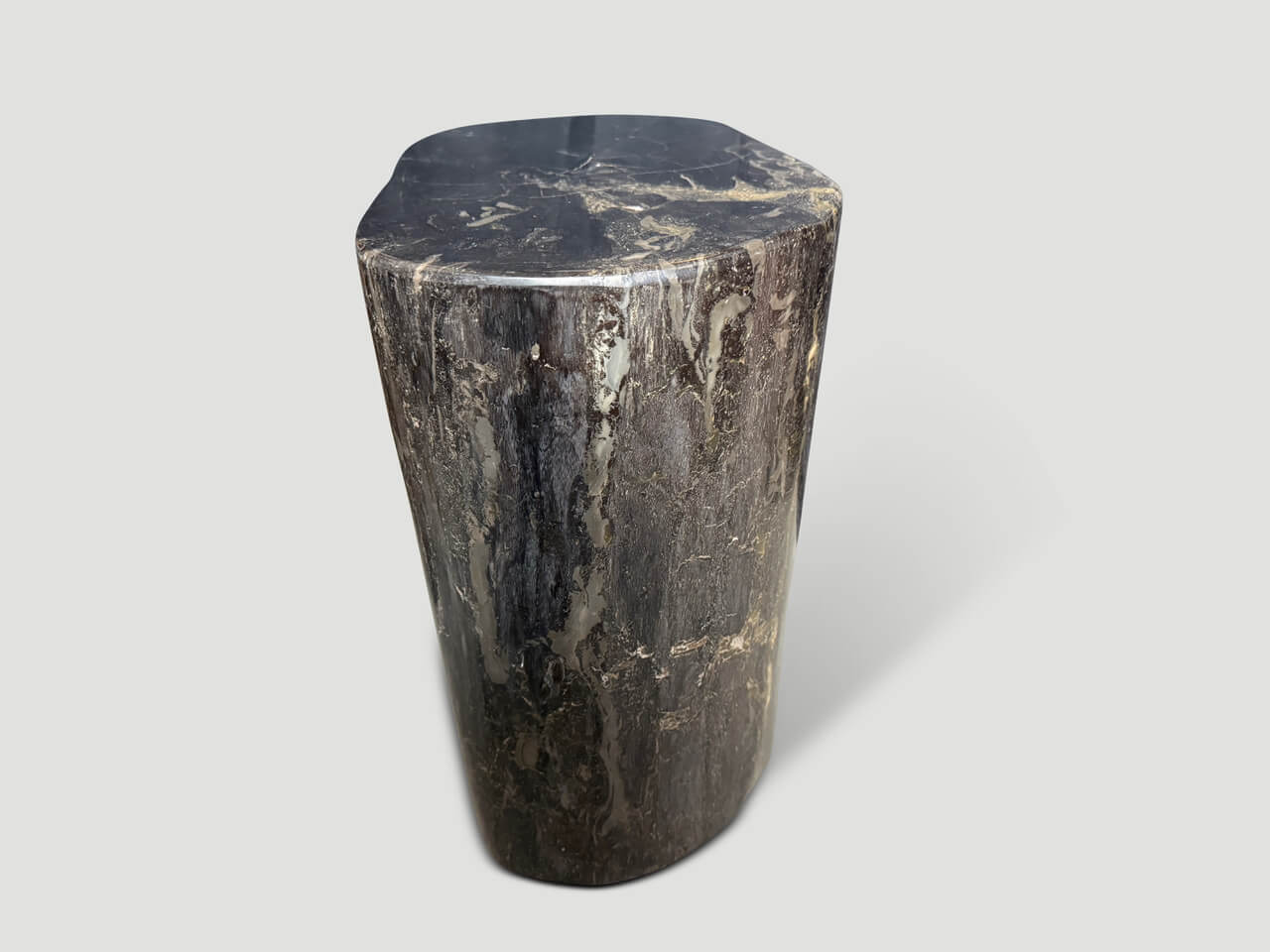 IMPRESSIVE ANCIENT PETRIFIED WOOD SIDE TABLE