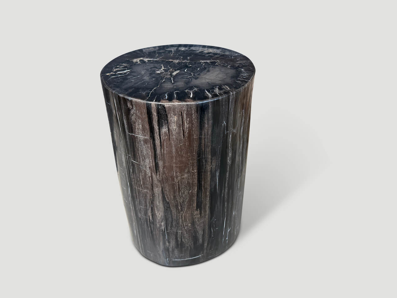 MINIMALIST HIGH QUALITY PETRIFIED WOOD SIDE TABLE
