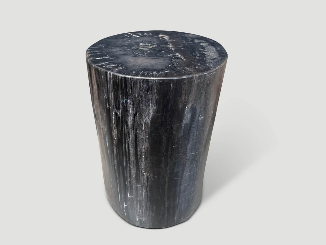 MINIMALIST HIGH QUALITY PETRIFIED WOOD SIDE TABLE