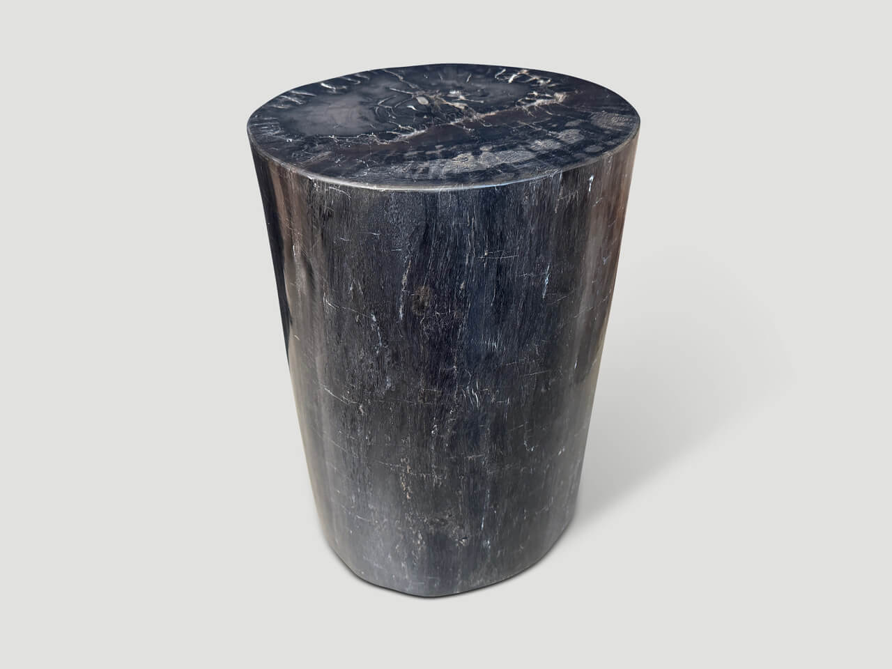 MINIMALIST HIGH QUALITY PETRIFIED WOOD SIDE TABLE