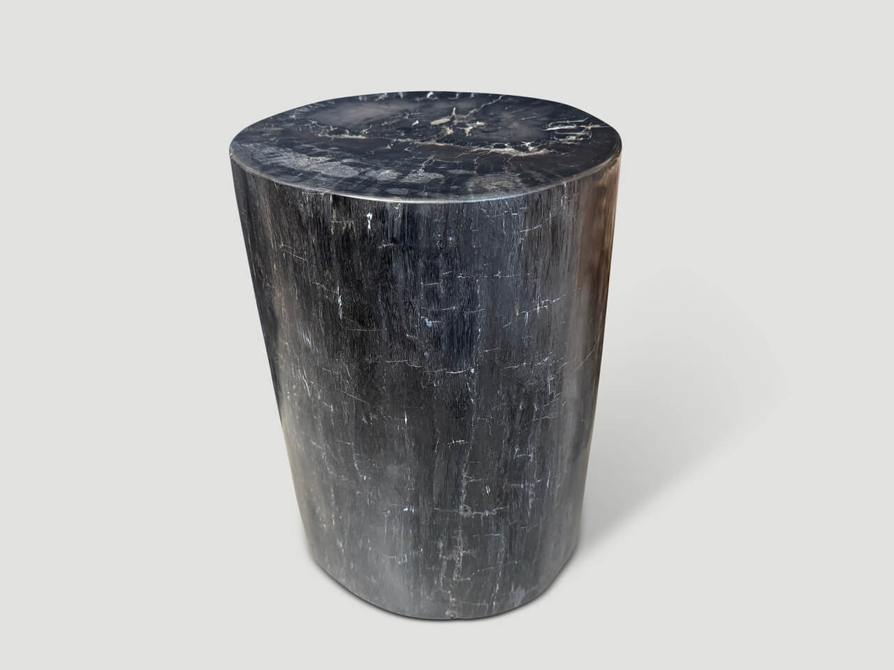 MINIMALIST HIGH QUALITY PETRIFIED WOOD SIDE TABLE