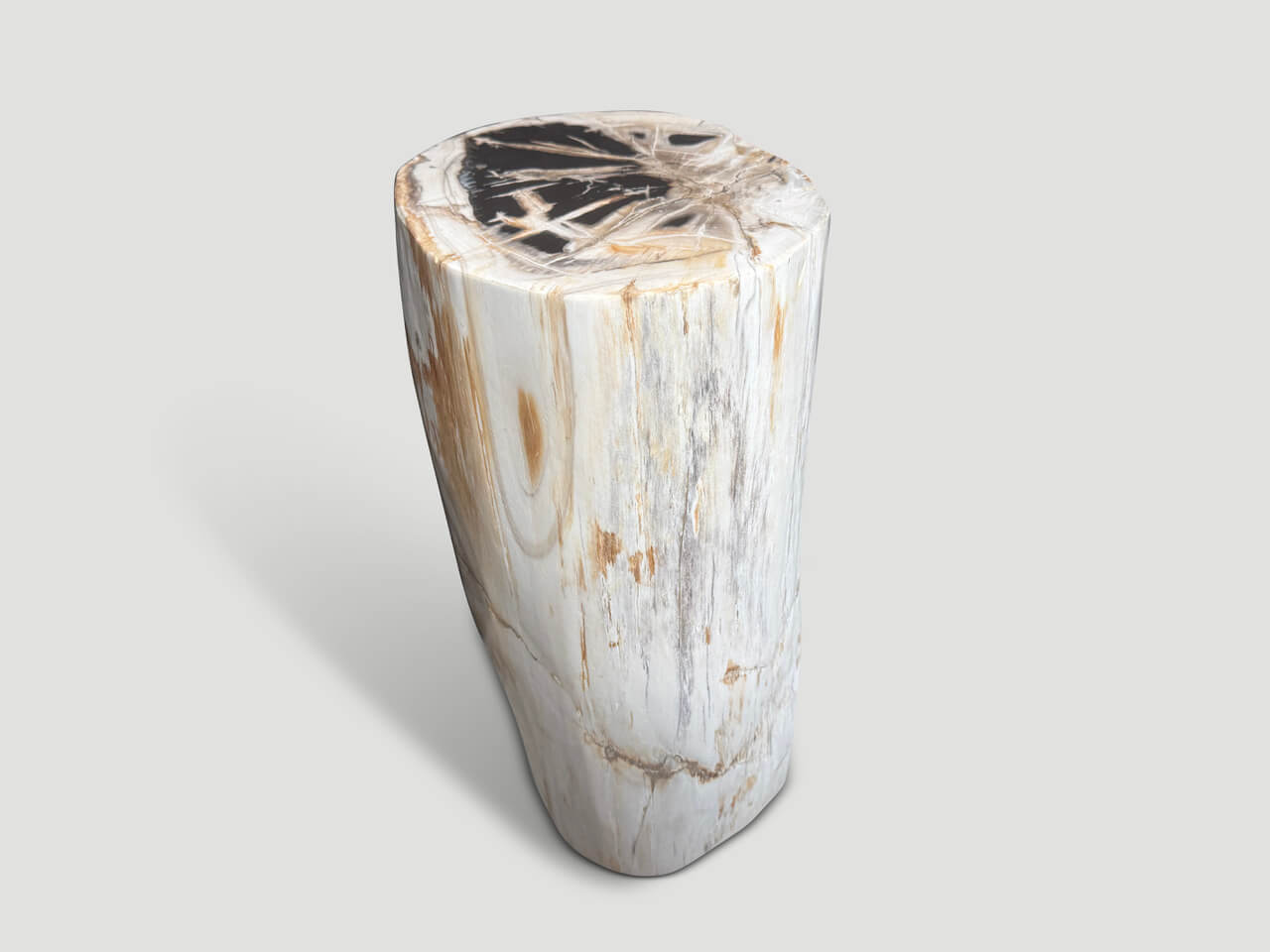 ANCIENT PETRIFIED WOOD SIDE TABLE
